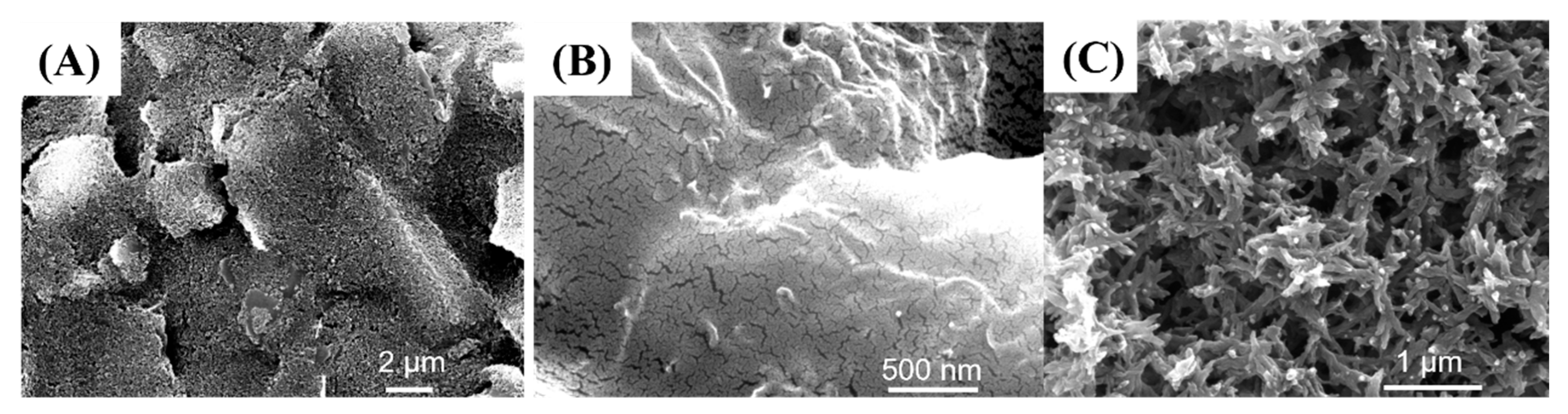 Sensors 24 03729 g003