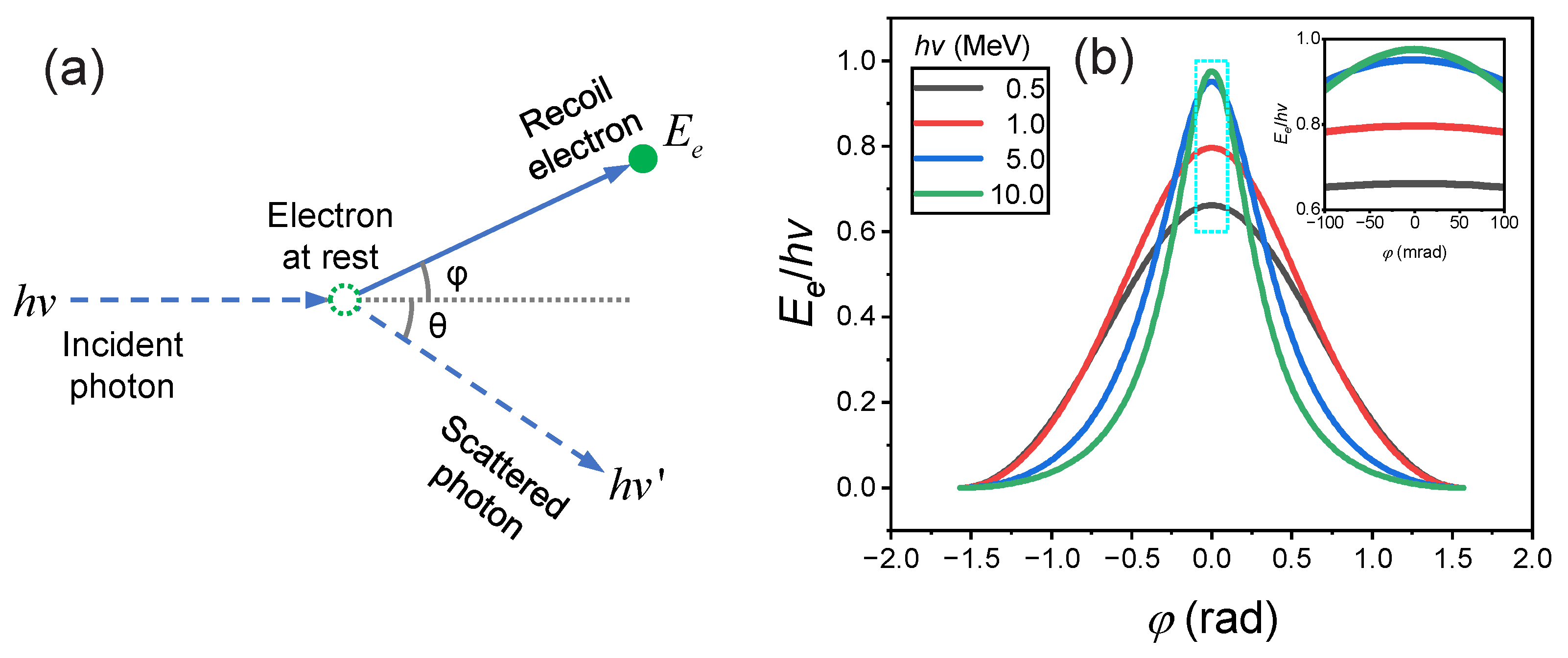 Sensors 24 03736 g001