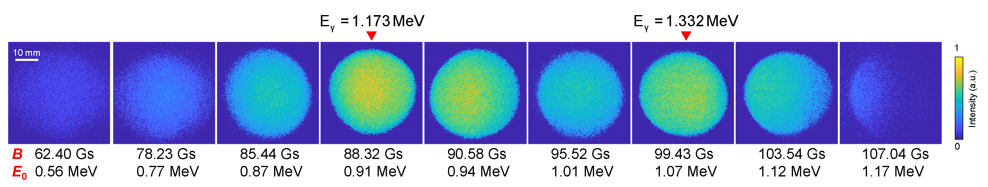 Sensors 24 03736 g007