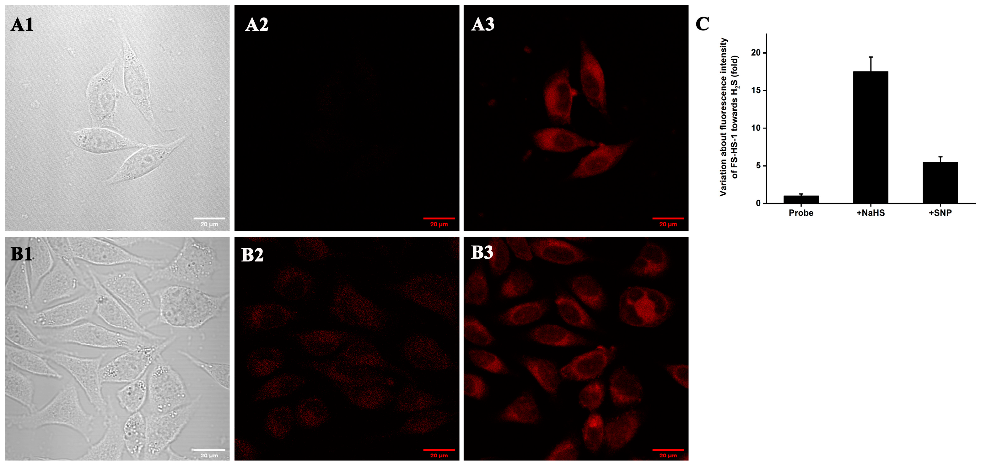 Sensors 24 03744 g007