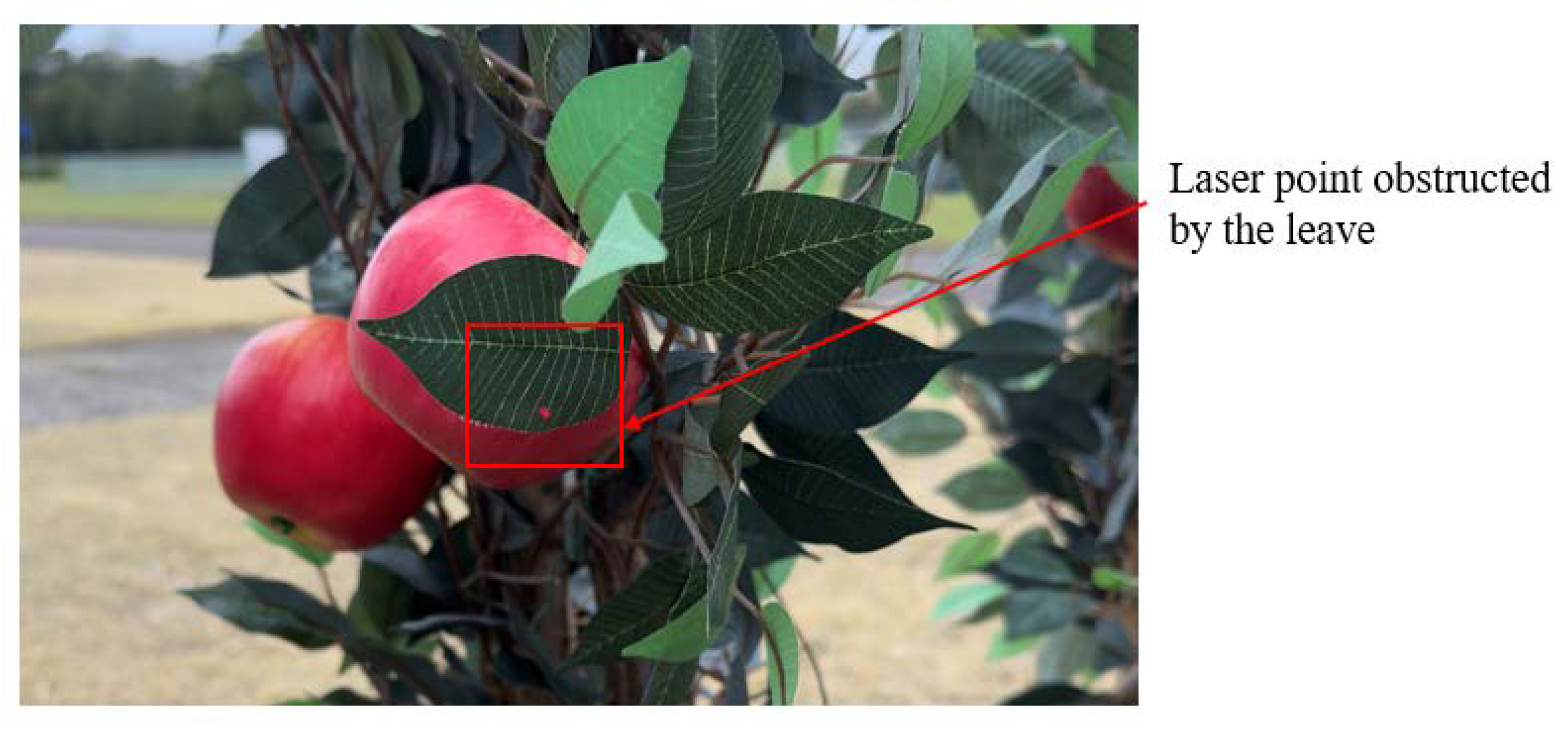 Sensors 24 03753 g011