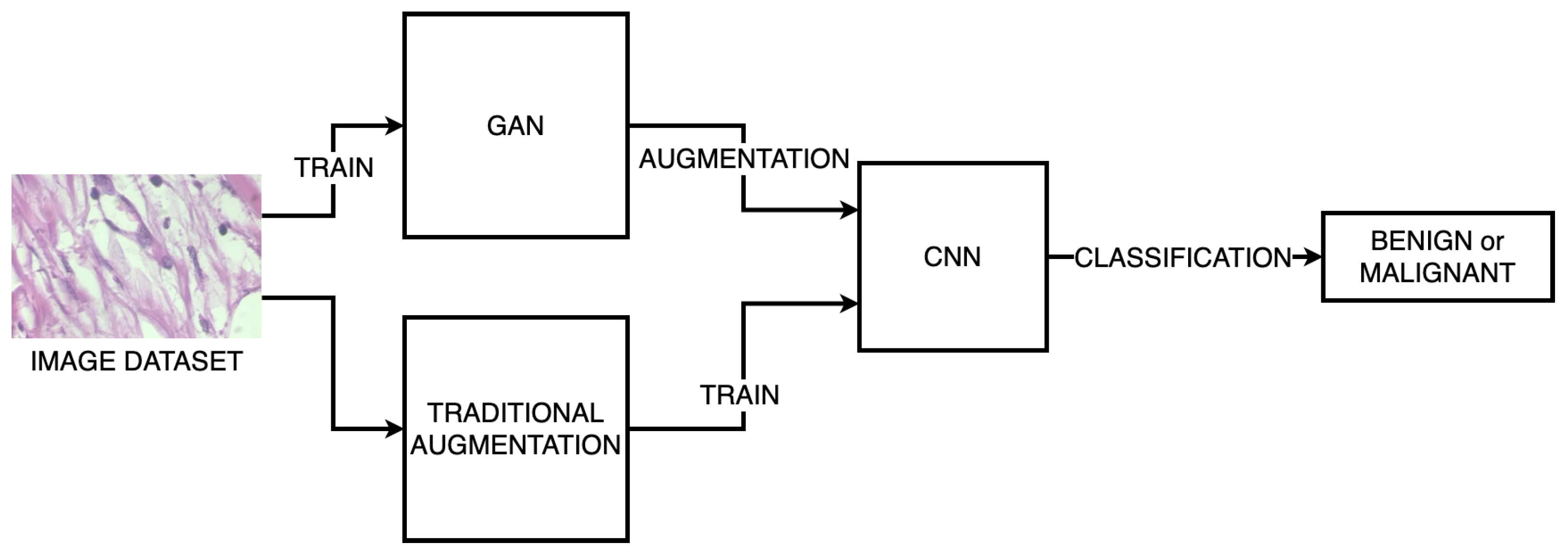 Sensors 24 03777 g001