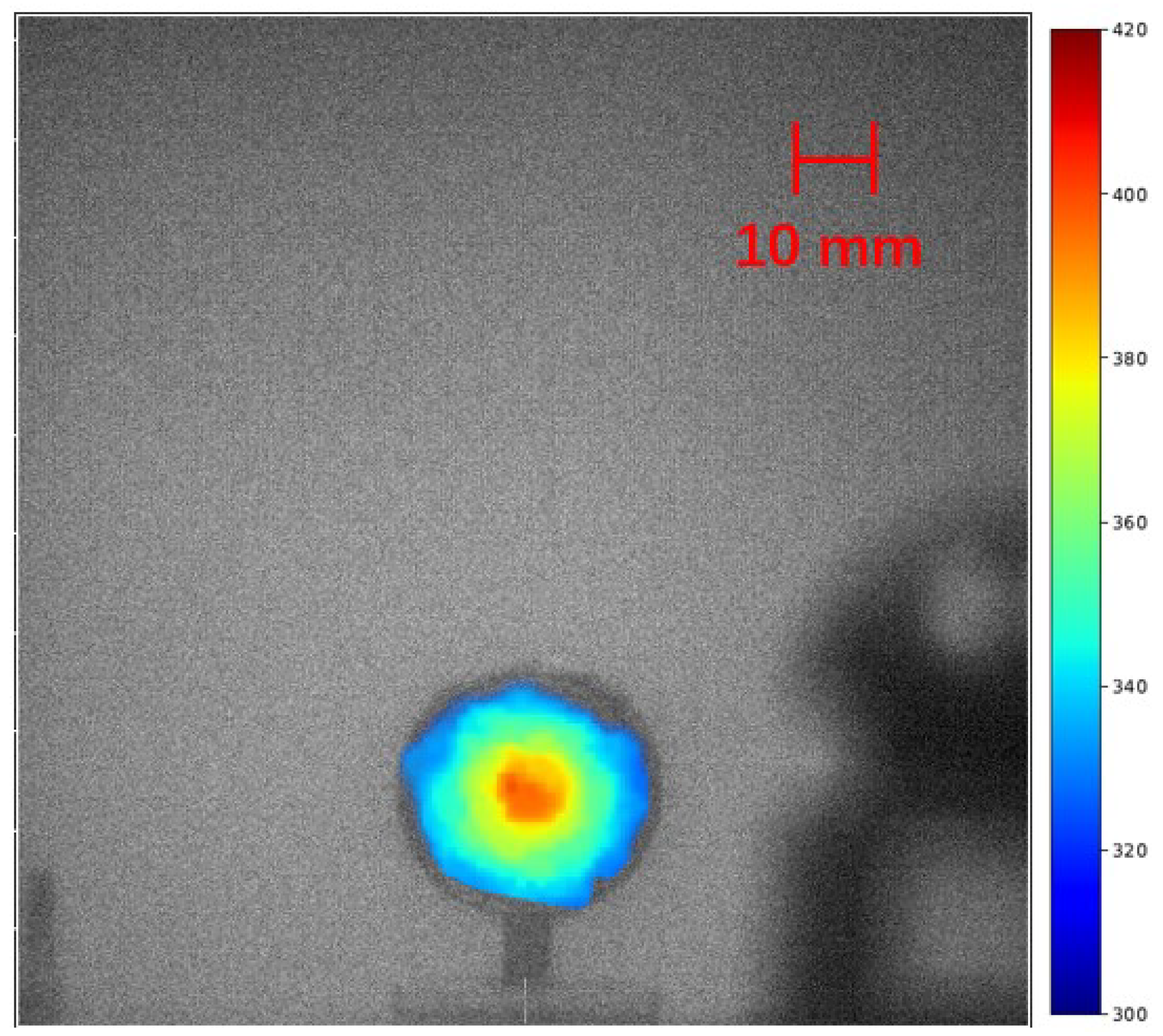 Sensors 24 03781 g009