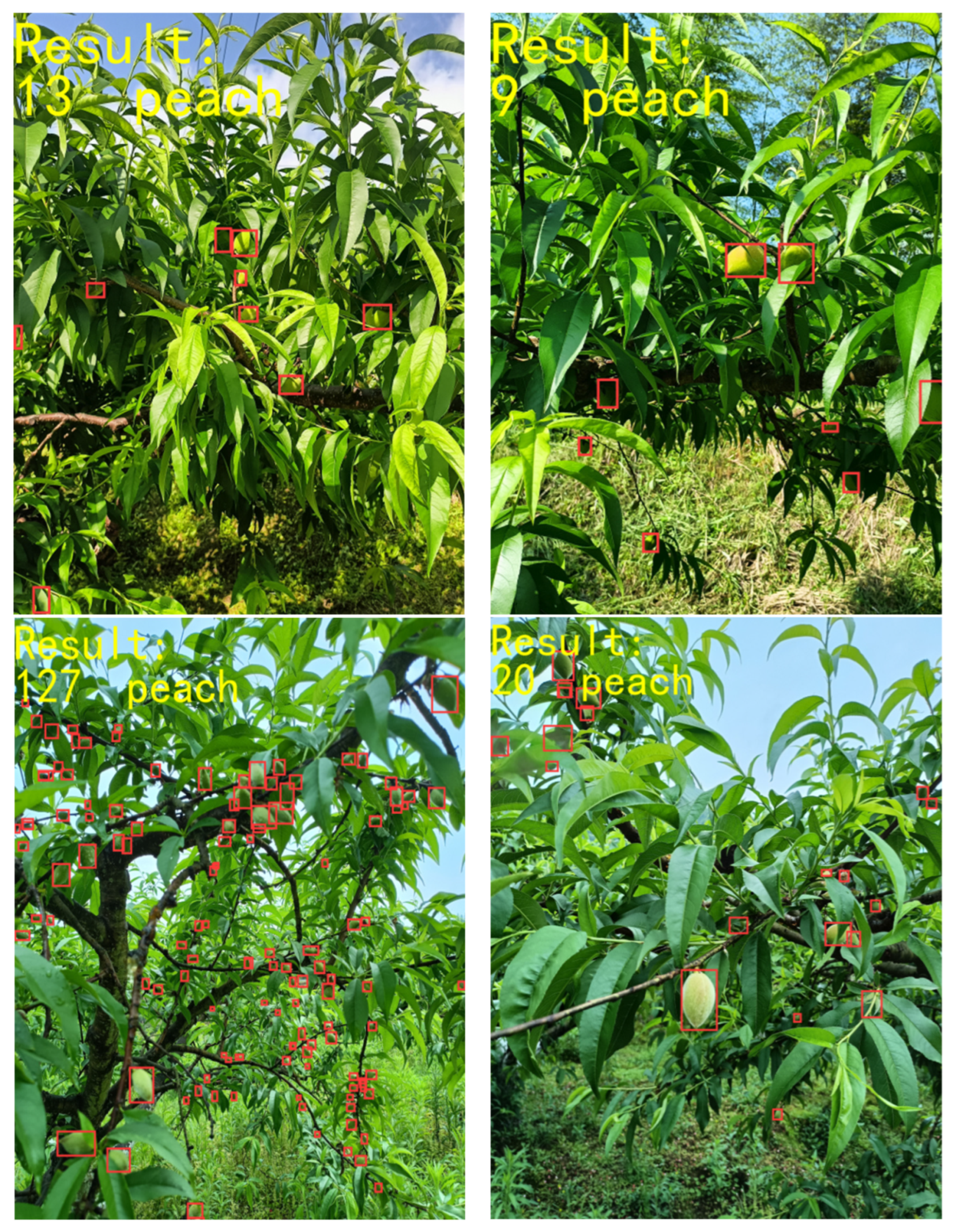 Sensors 24 03783 g008