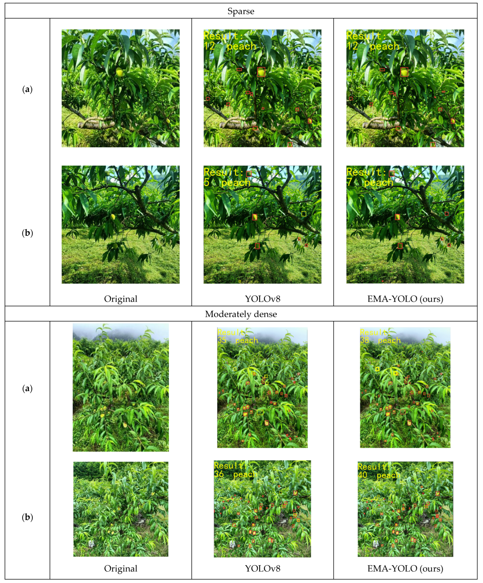 Sensors 24 03783 g011a