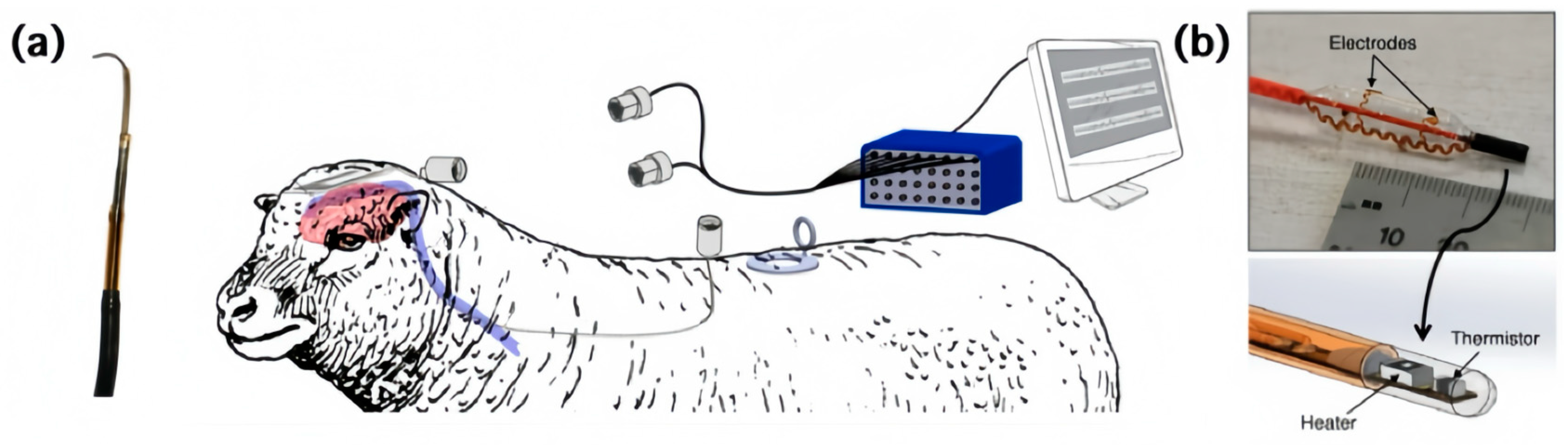 Sensors 24 03799 g004