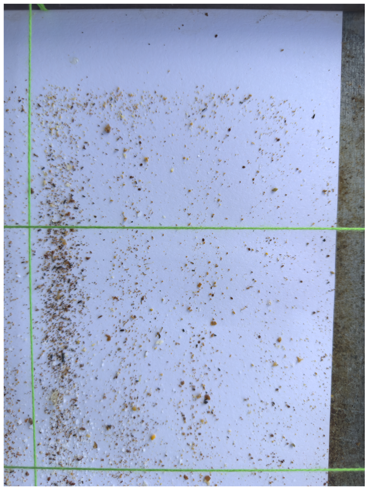 Sensors 24 03828 g001