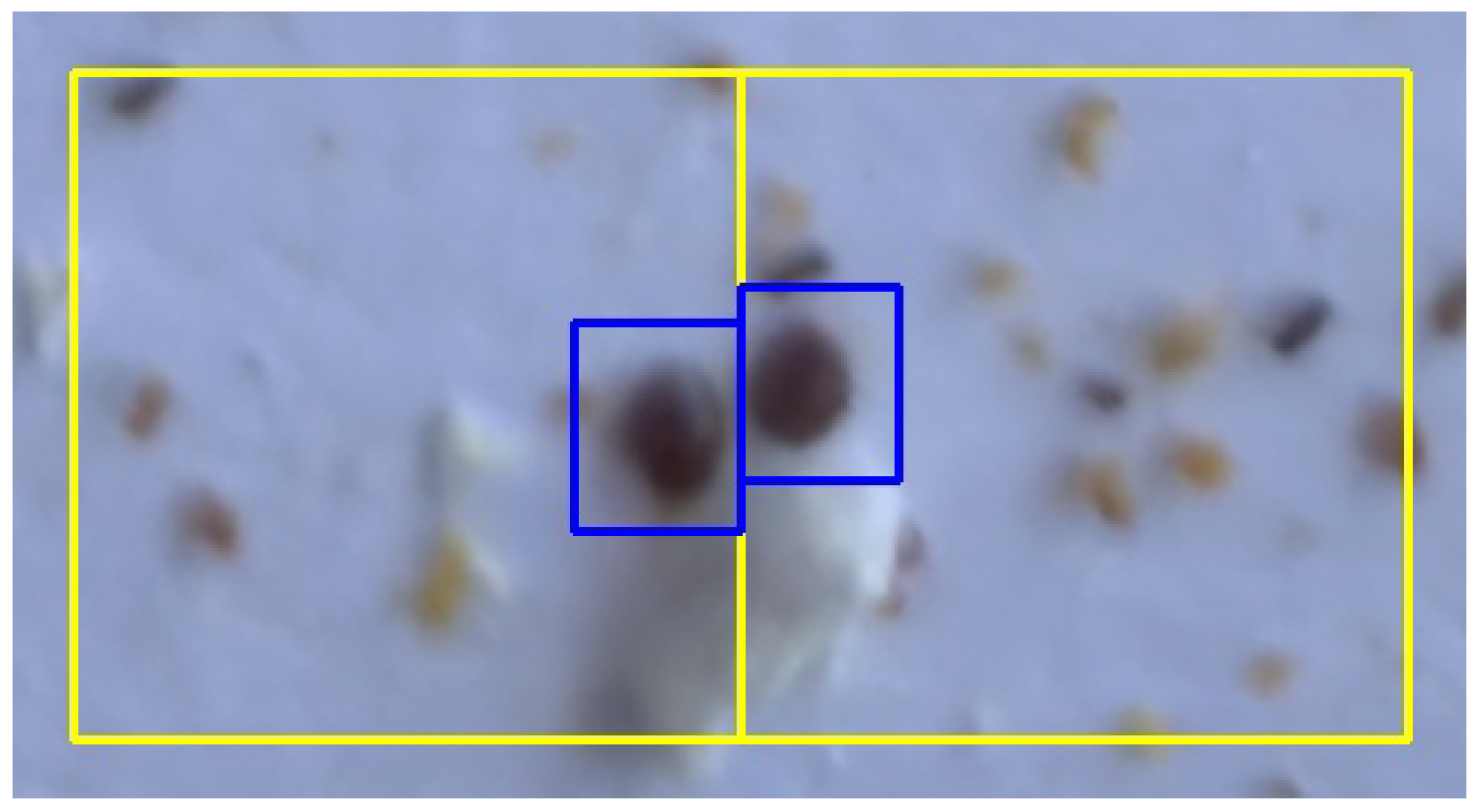 Sensors 24 03828 g007