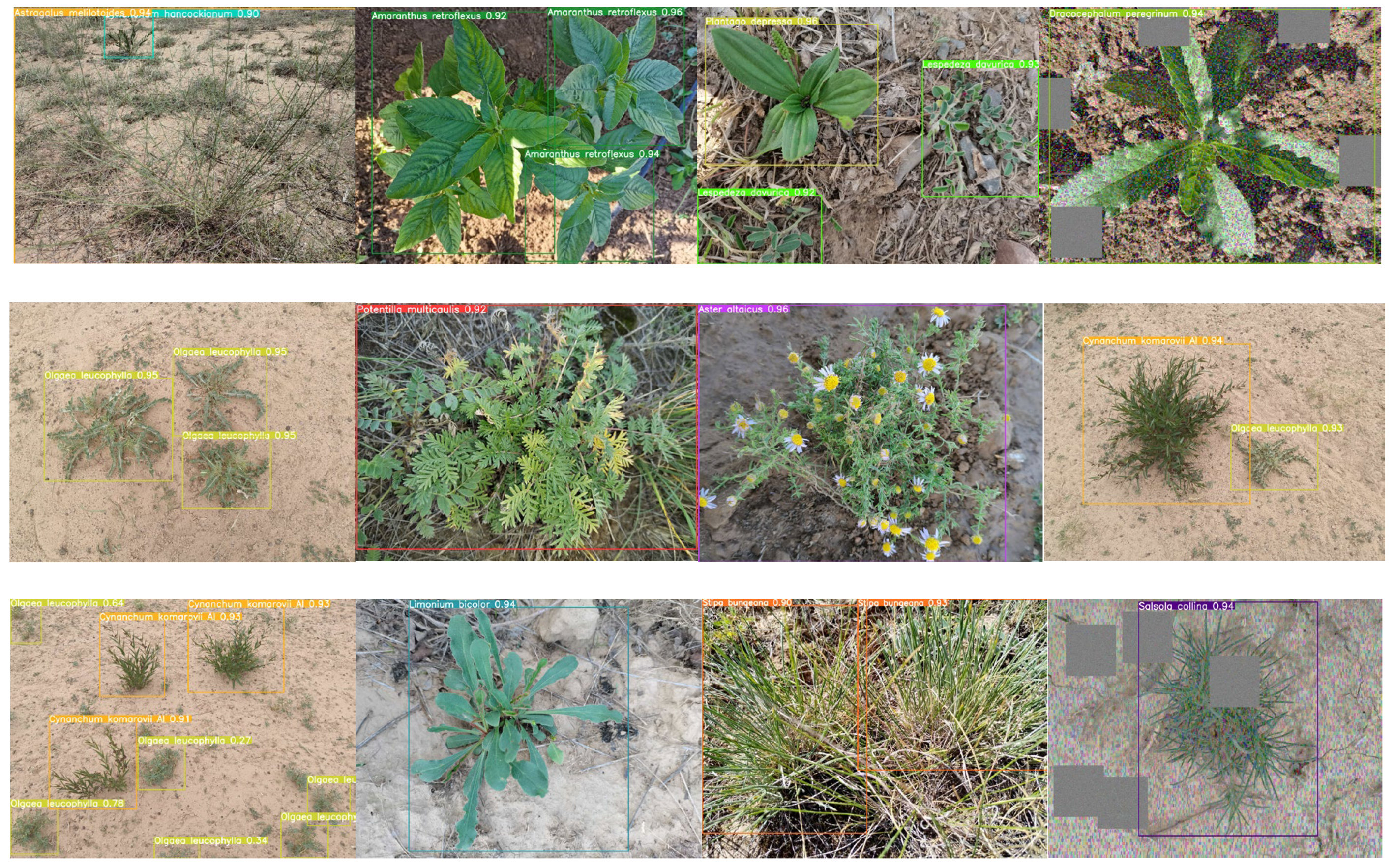 Sensors 24 03834 g009