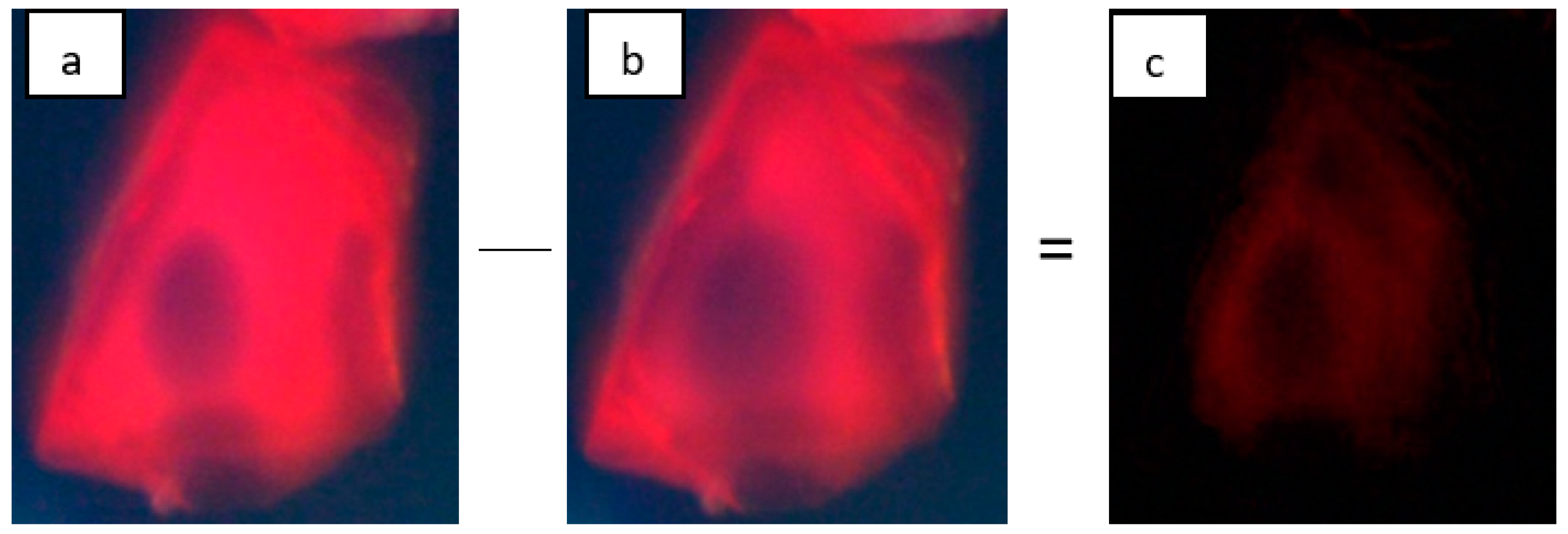Sensors 24 03842 g001 Sensors 24 03842 g001