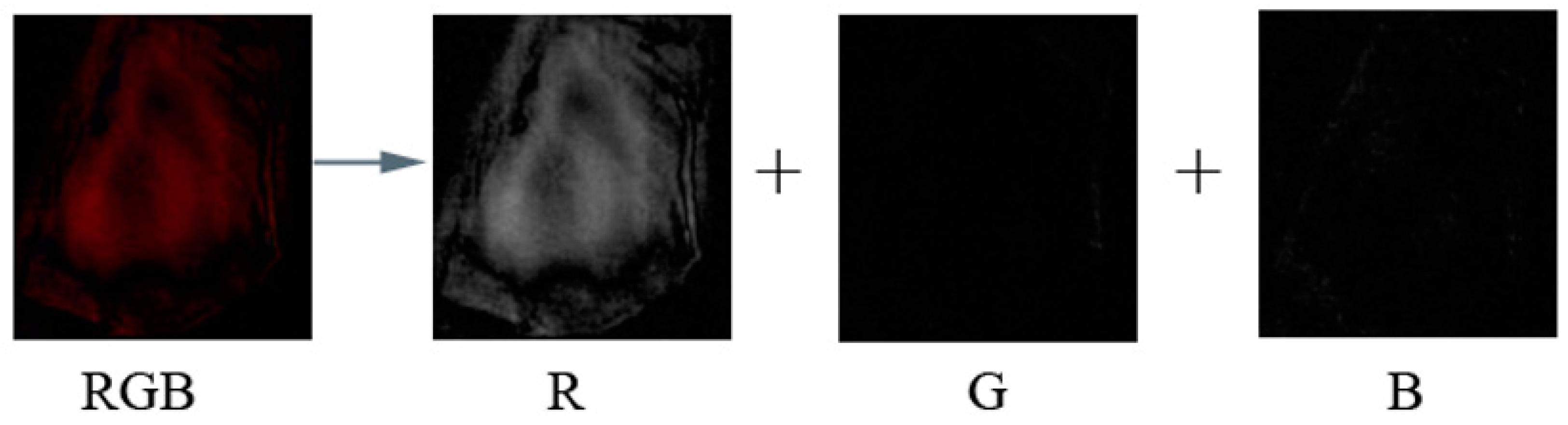 Sensors 24 03842 g002 Sensors 24 03842 g002