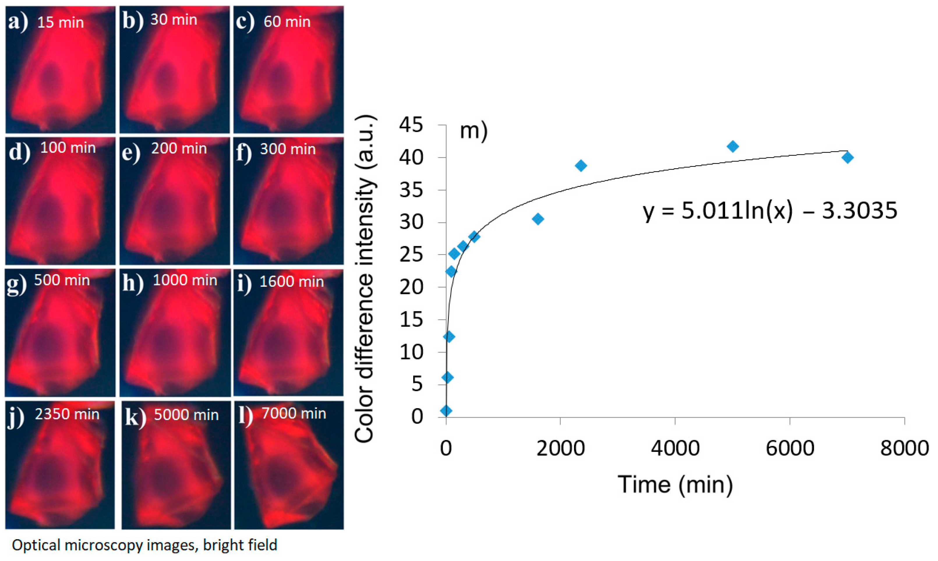 Sensors 24 03842 g007 Sensors 24 03842 g007