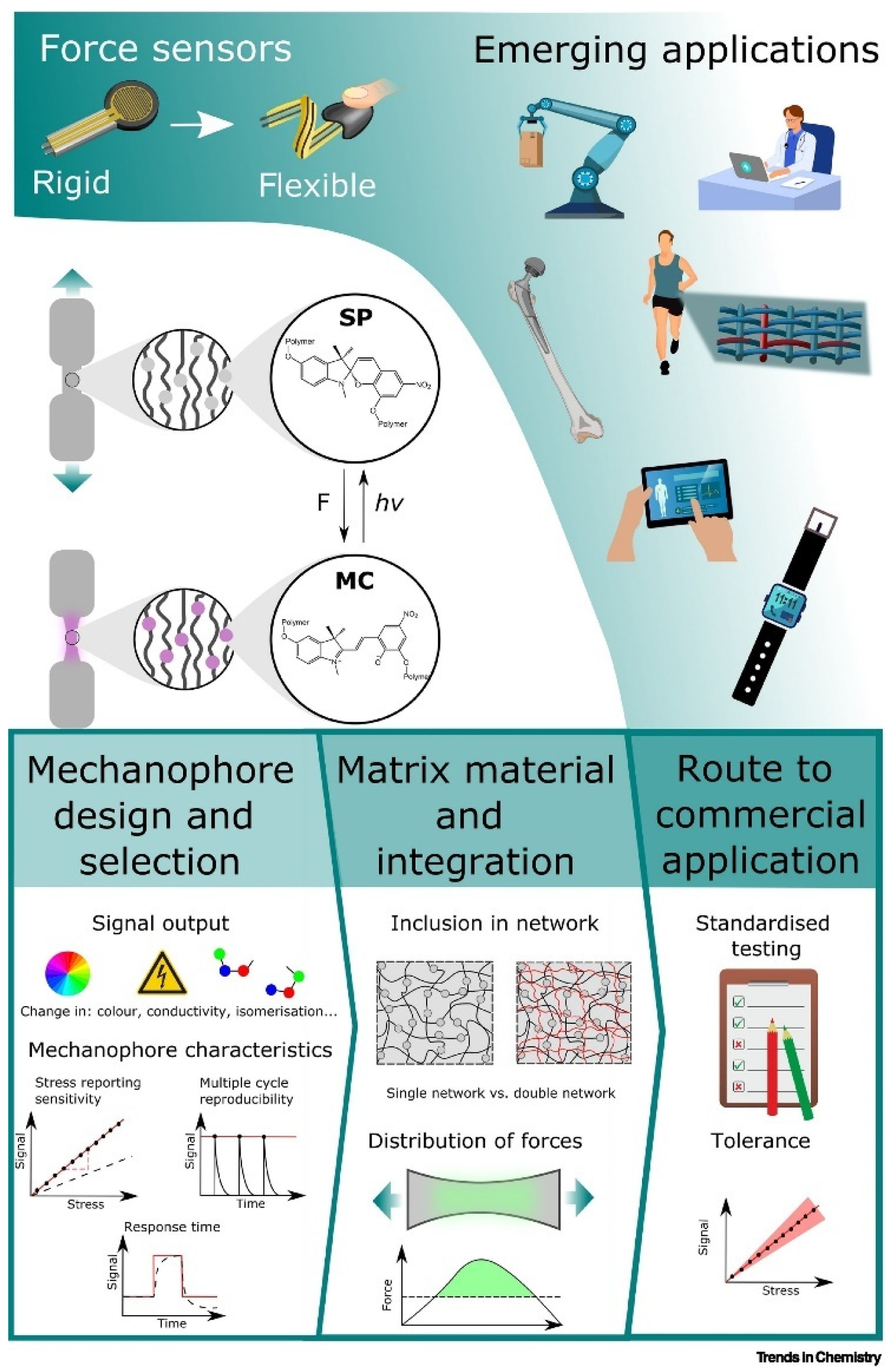 Sensors 24 03852 g007
