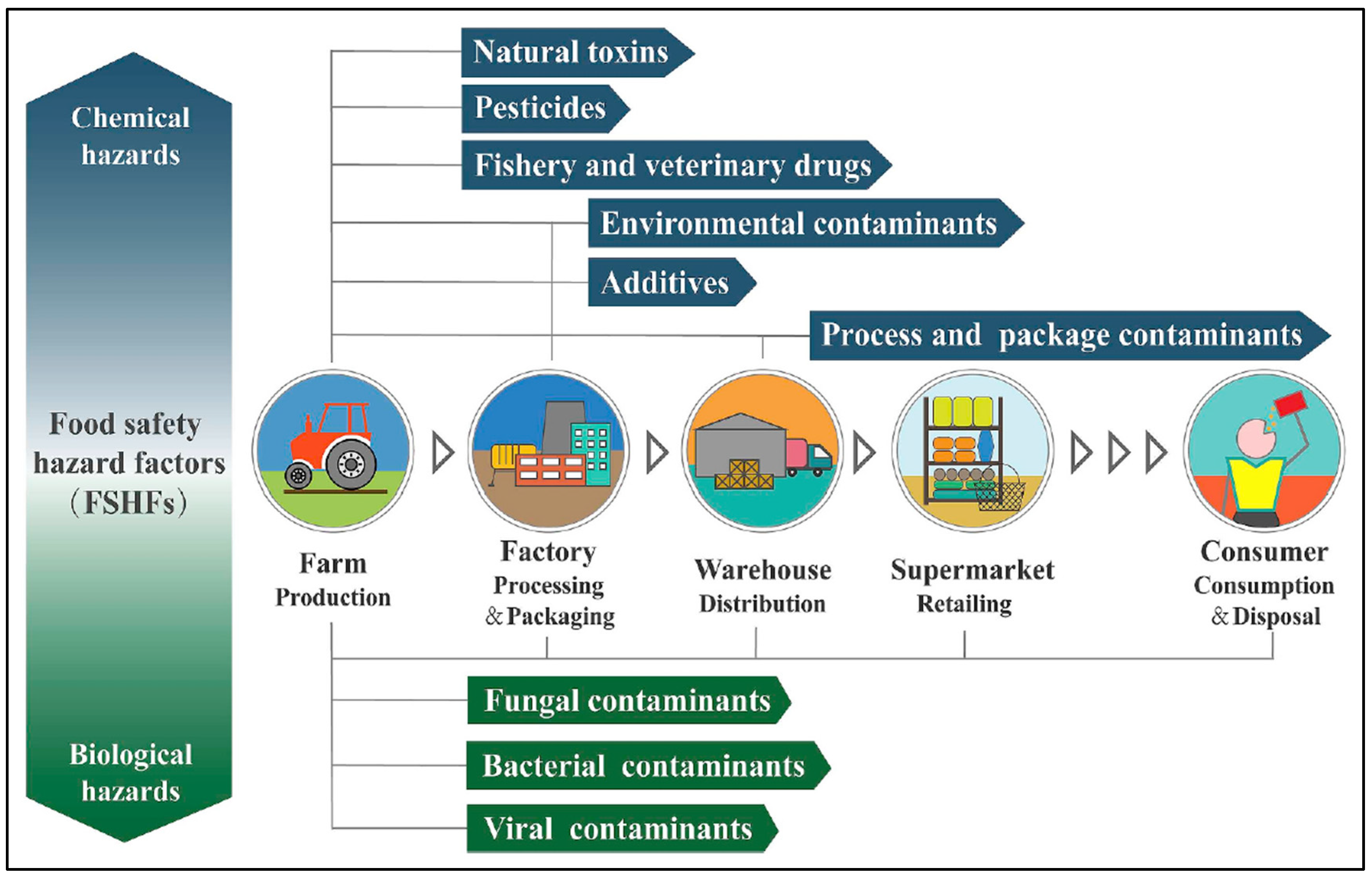 Sensors 24 03852 g008