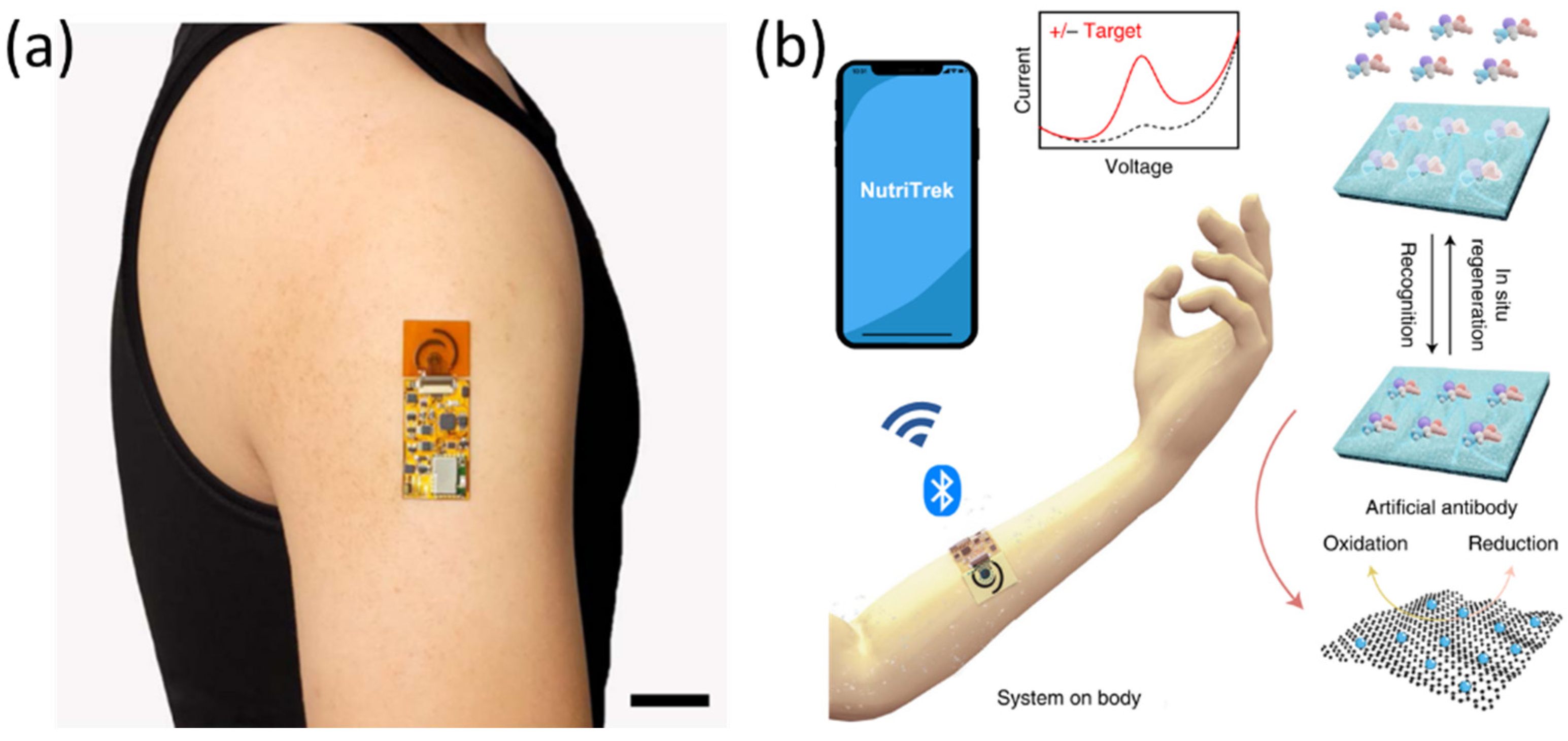 Sensors 24 03852 g011
