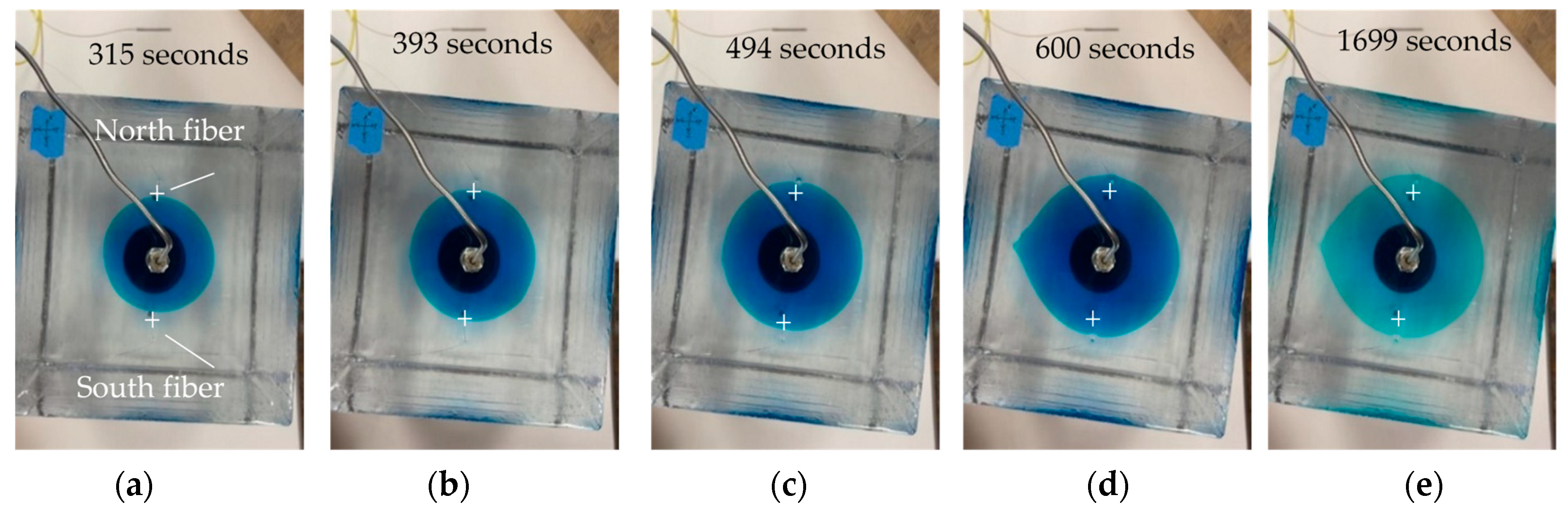 Sensors 24 03880 g006