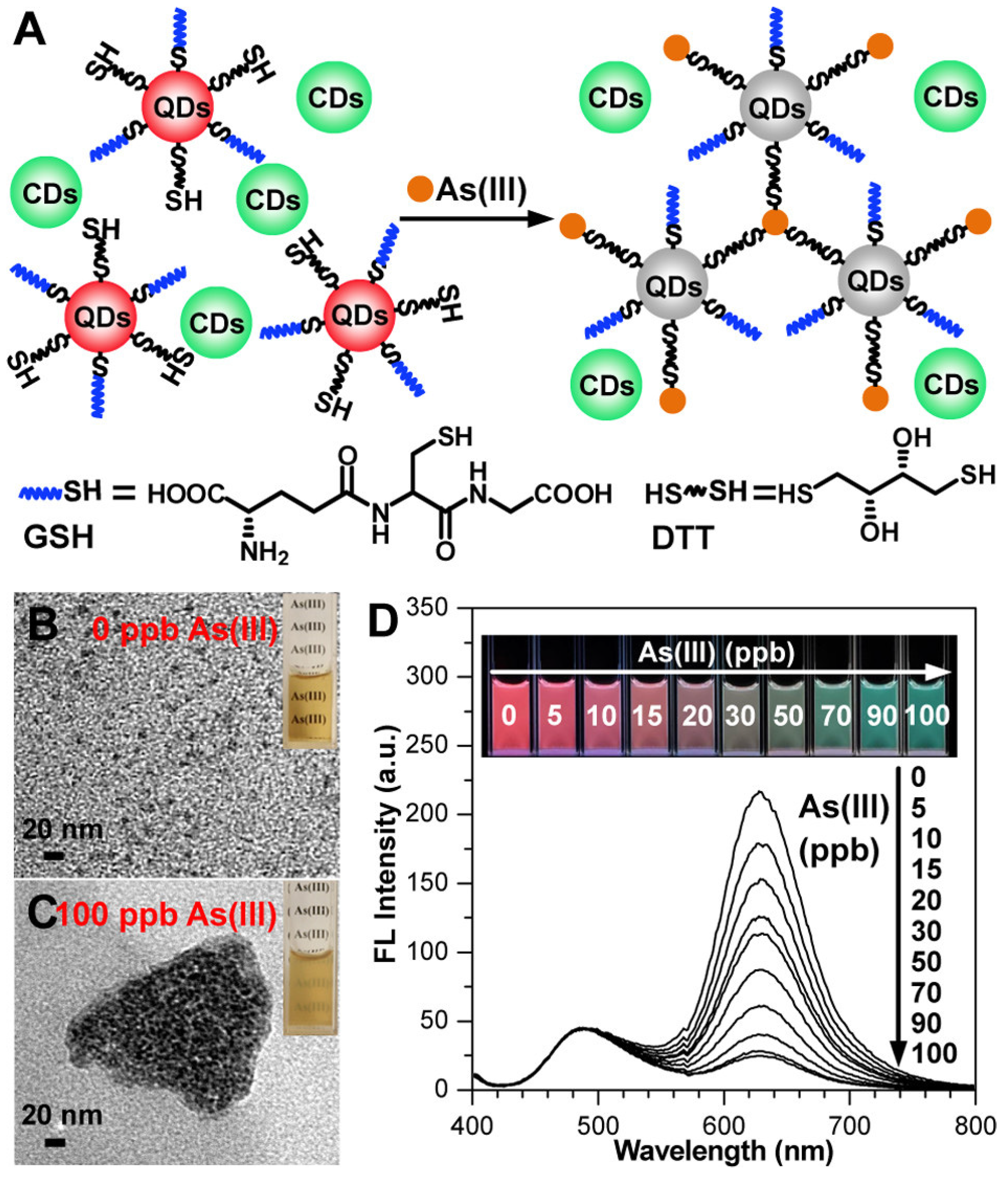 Sensors 24 03889 g005