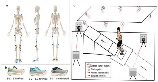 Biomechanical Investigation of Lower Limbs during Slope