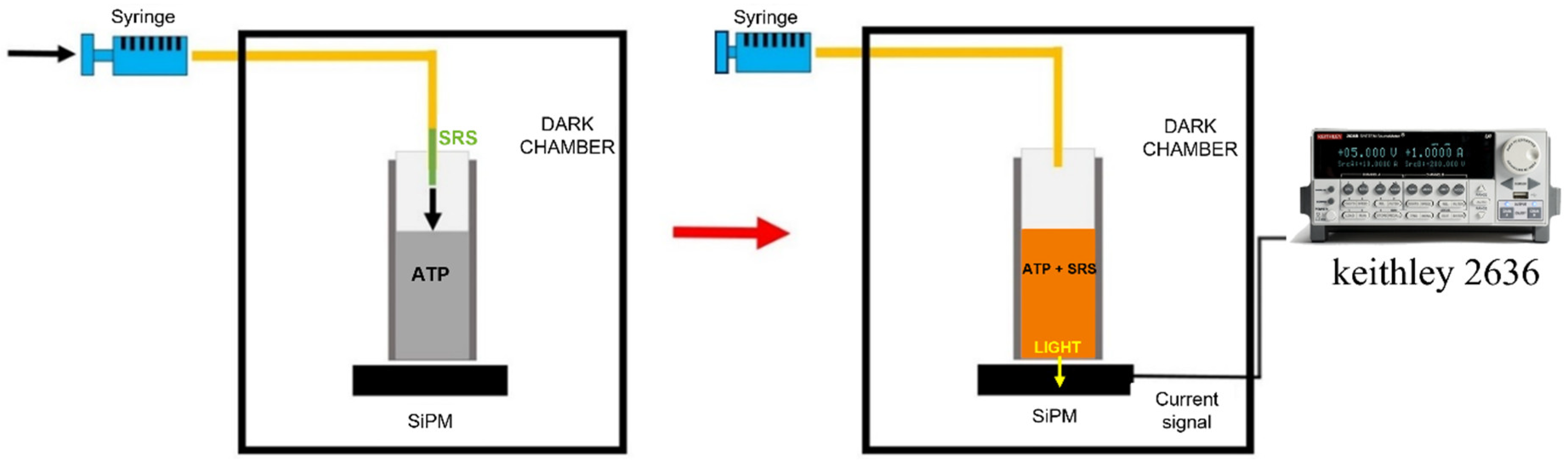Sensors 24 03921 g001 Sensors 24 03921 g001