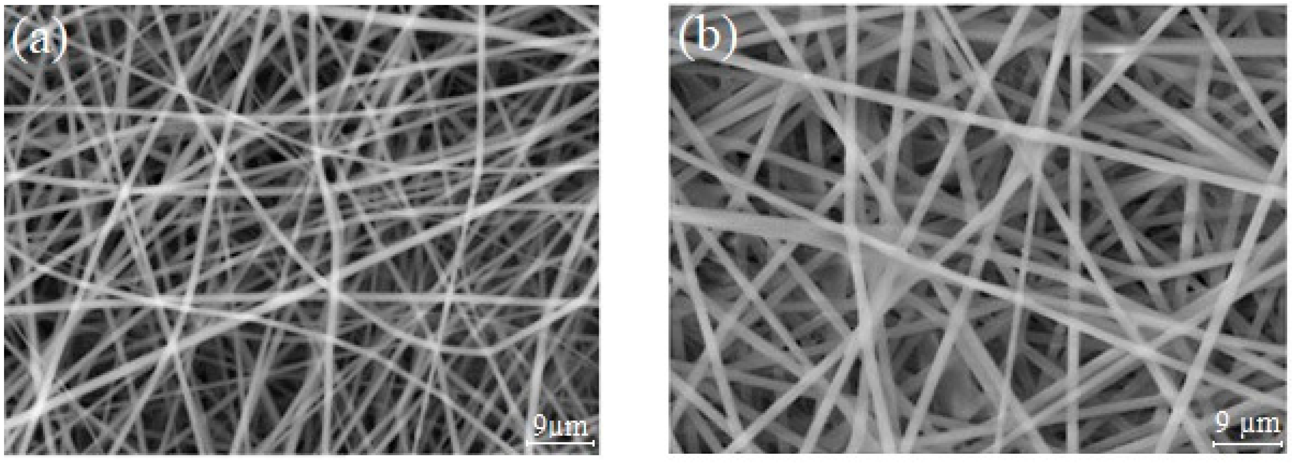 Sensors 24 03939 g002