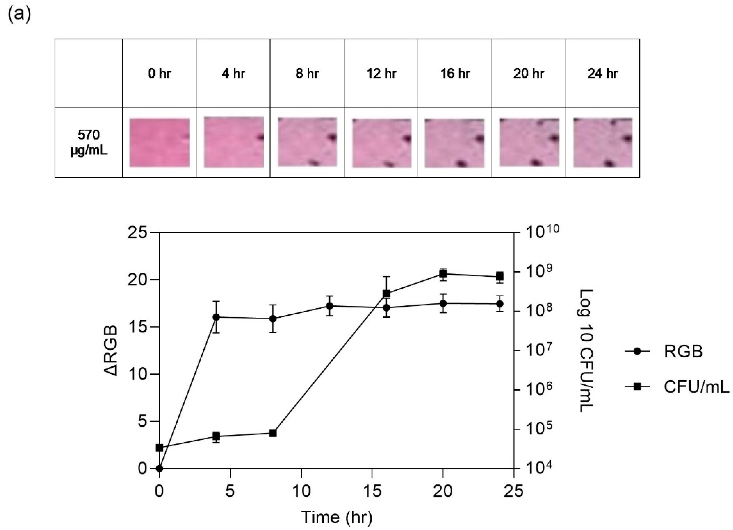 Sensors 24 03939 g009a
