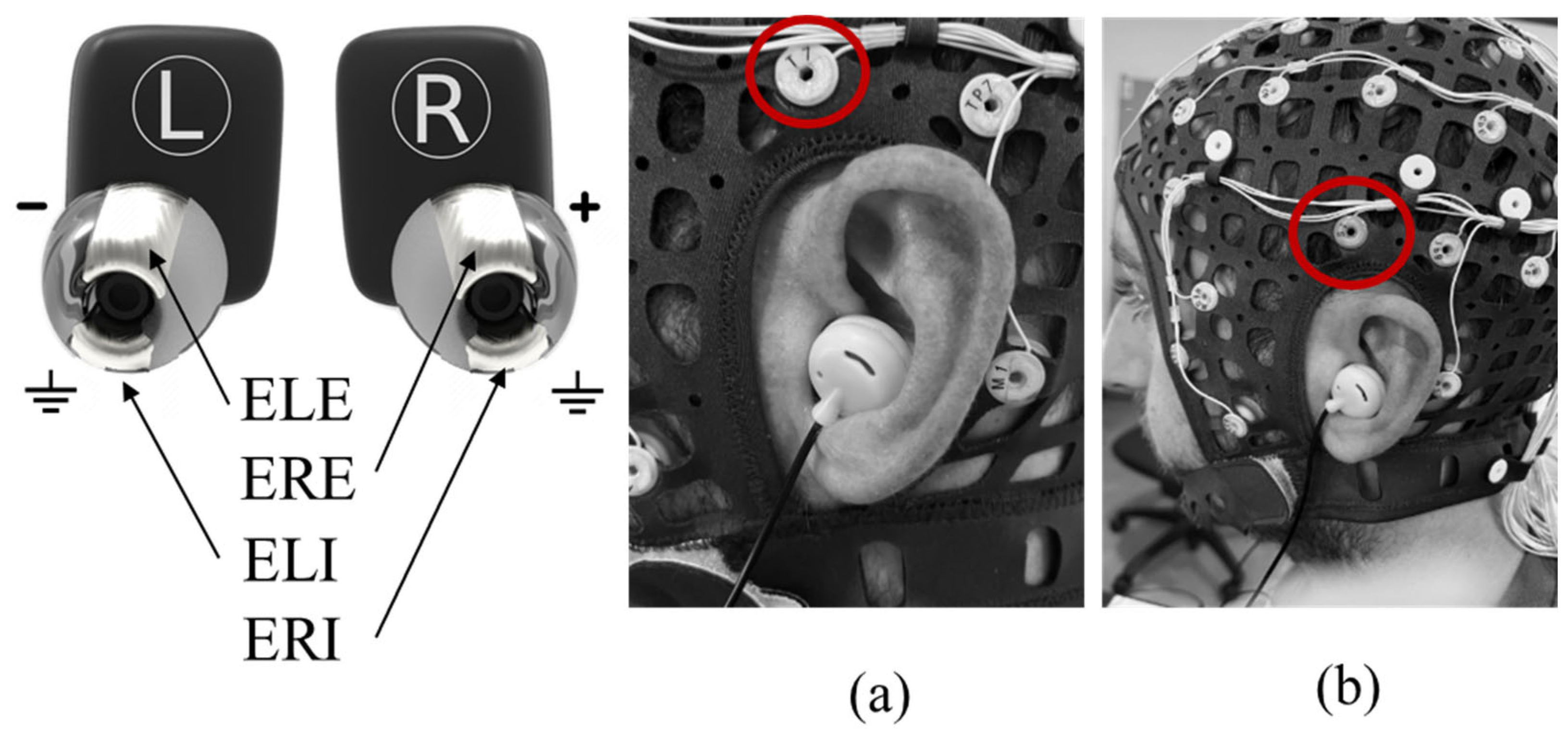 Sensors 24 03973 g001