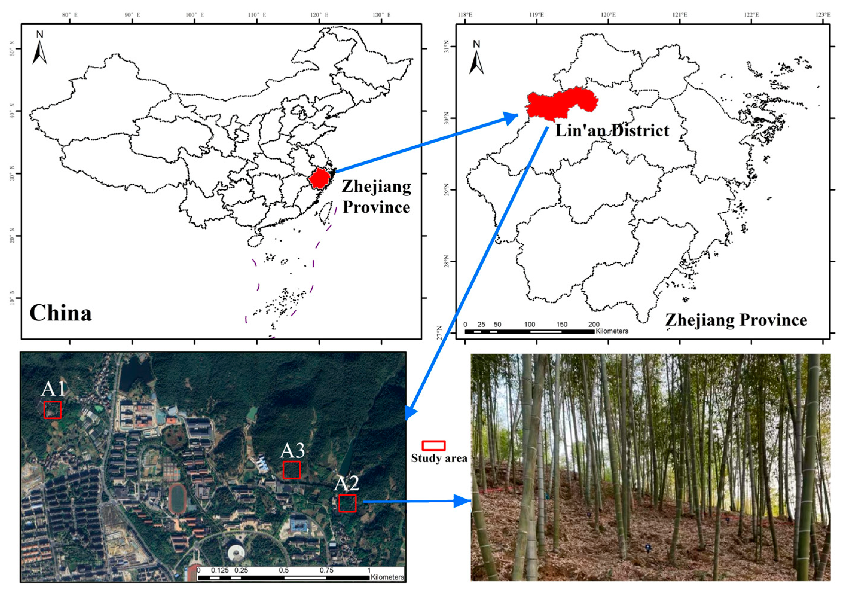 Sensors 24 04036 g001