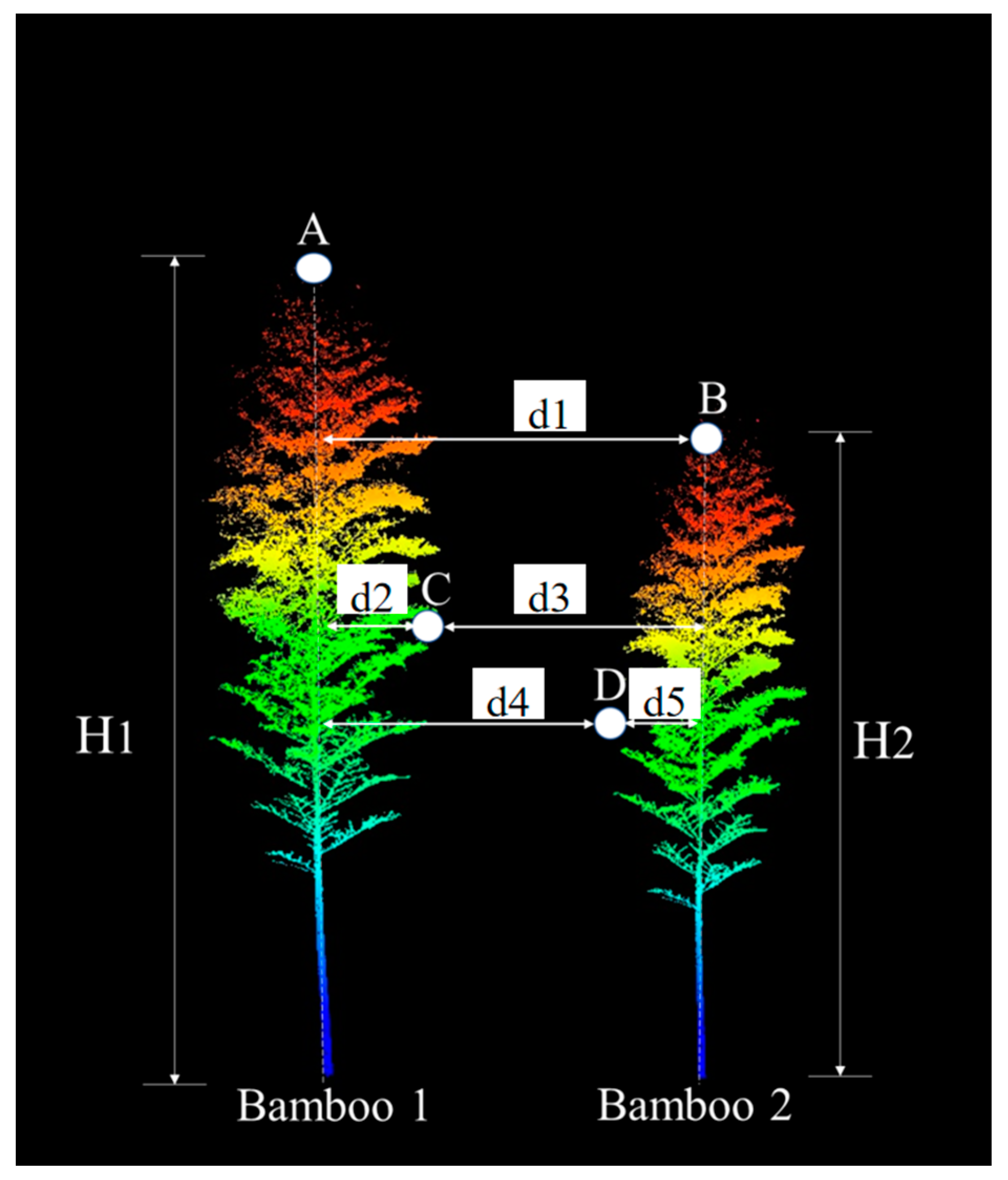 Sensors 24 04036 g006