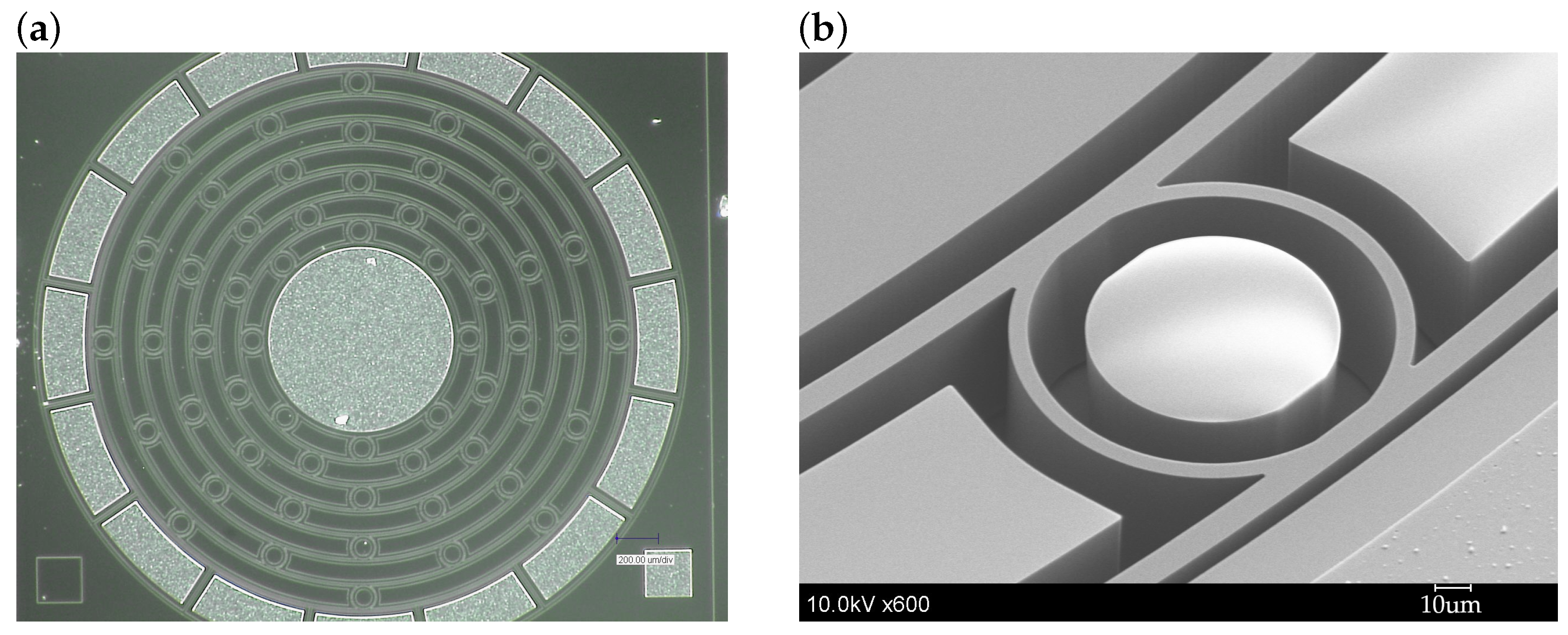 Sensors 24 04038 g005