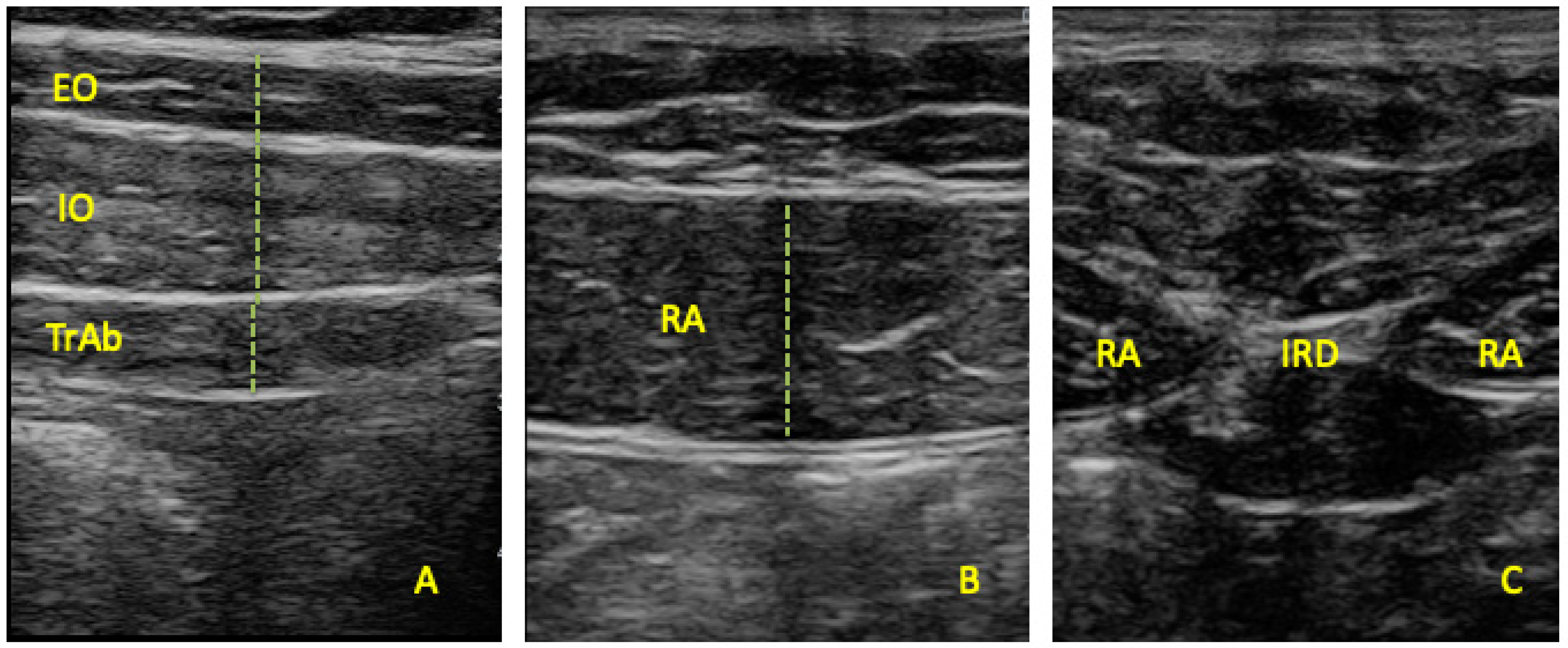 Sensors 24 04073 g001
