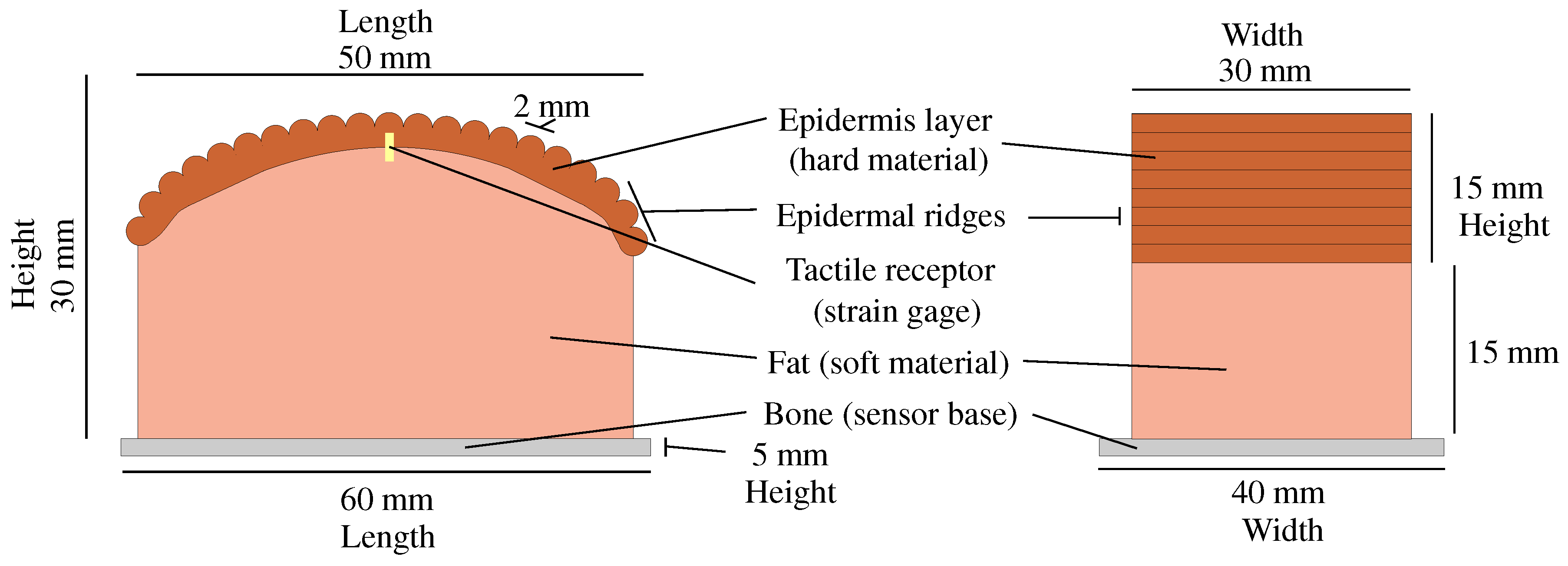 Sensors 24 04078 g001 Sensors 24 04078 g001