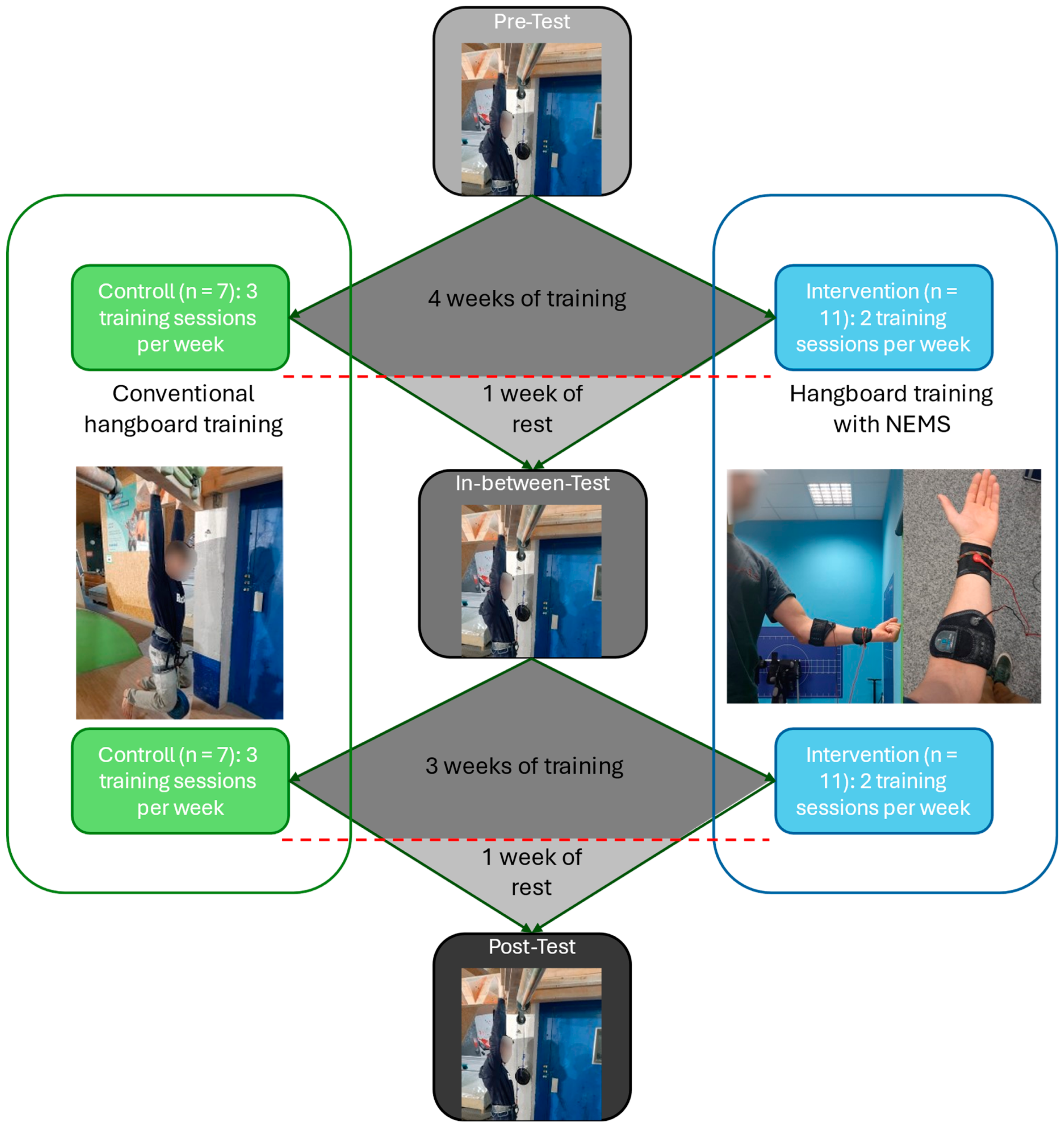 Sensors 24 04100 g001 Sensors 24 04100 g001