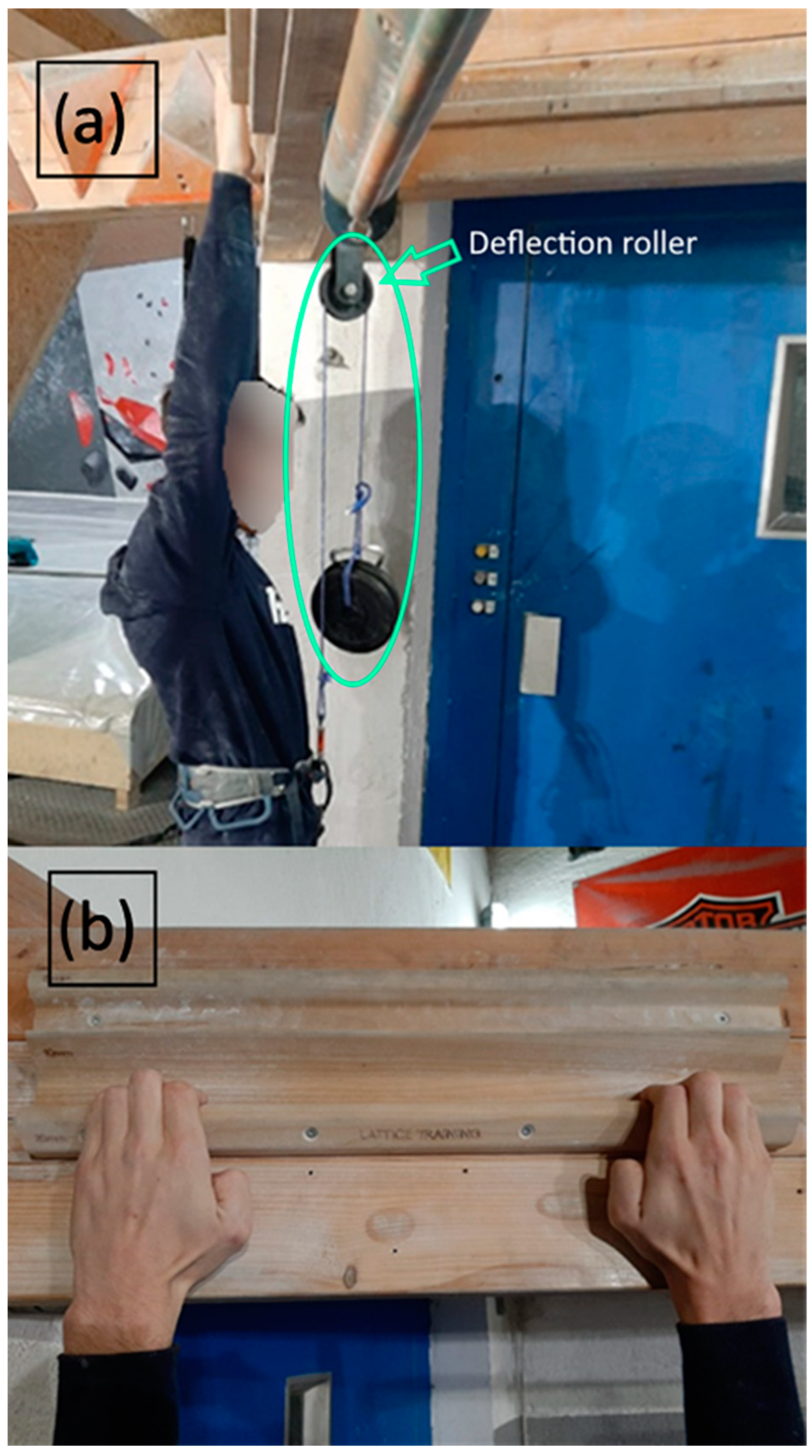 Sensors 24 04100 g002 Sensors 24 04100 g002