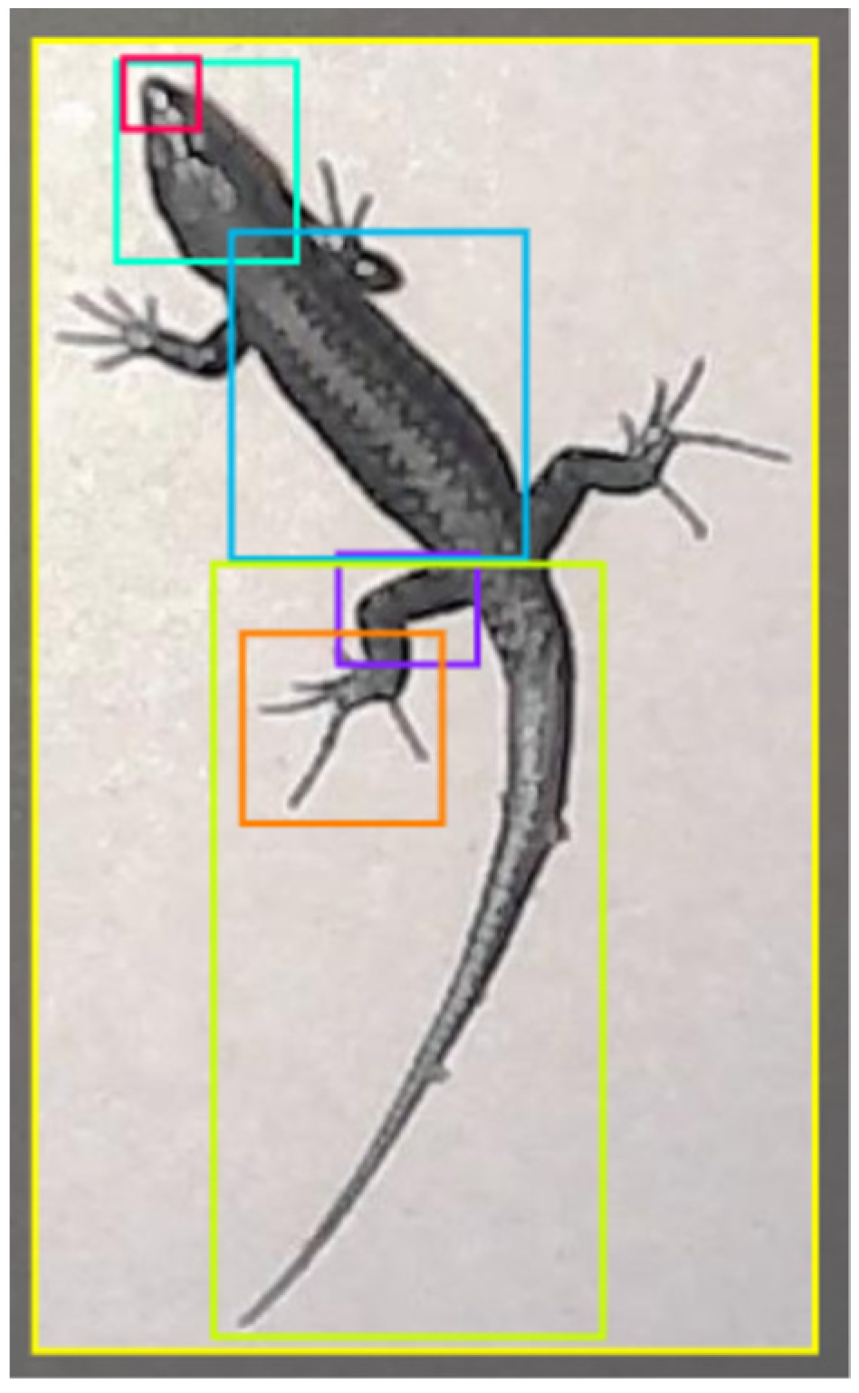 Sensors 24 04135 g003