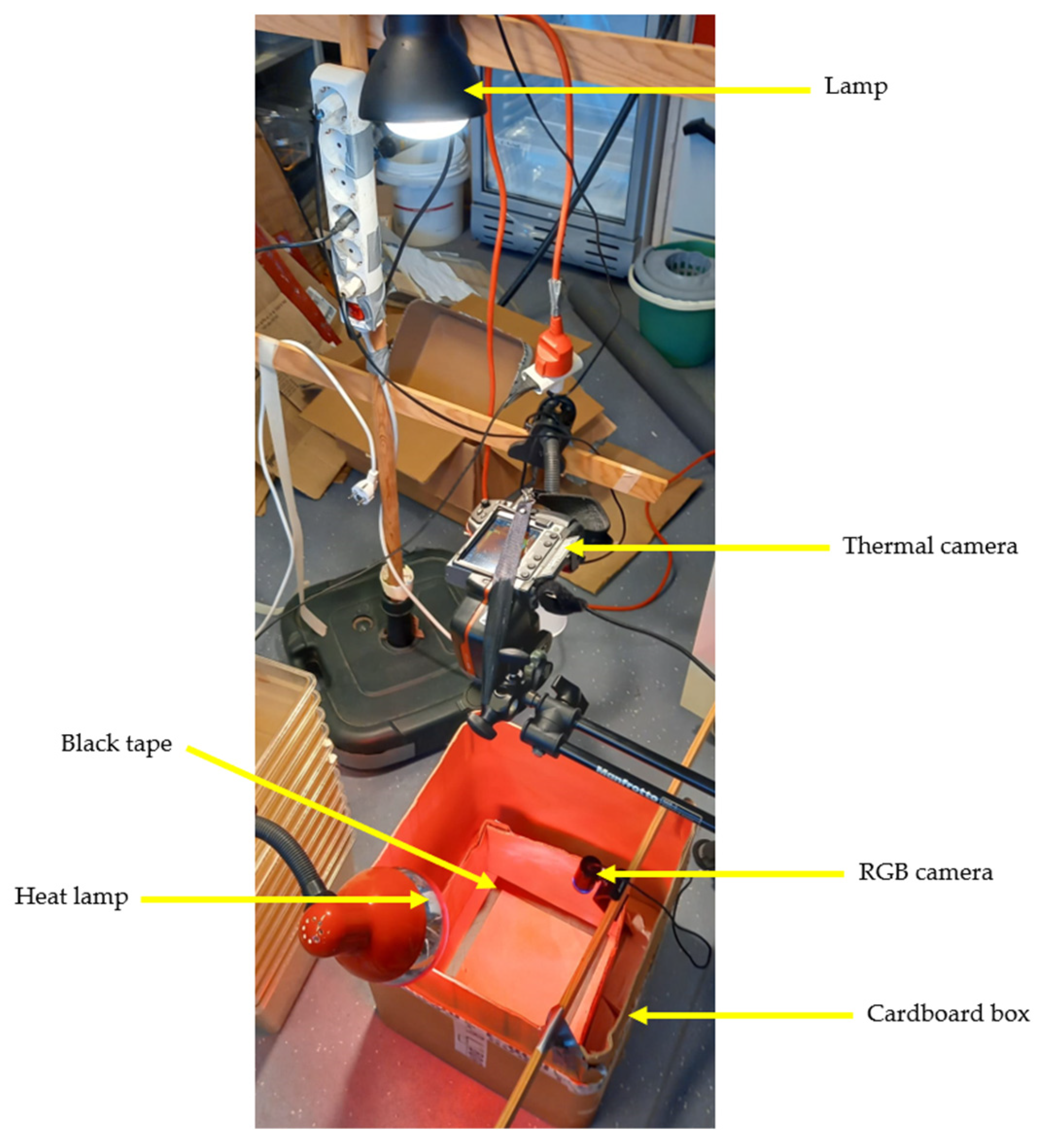Sensors 24 04135 g004