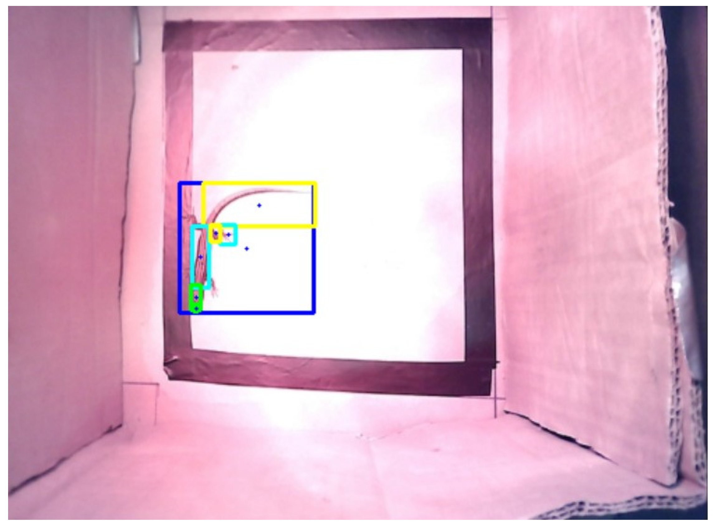 Sensors 24 04135 g011