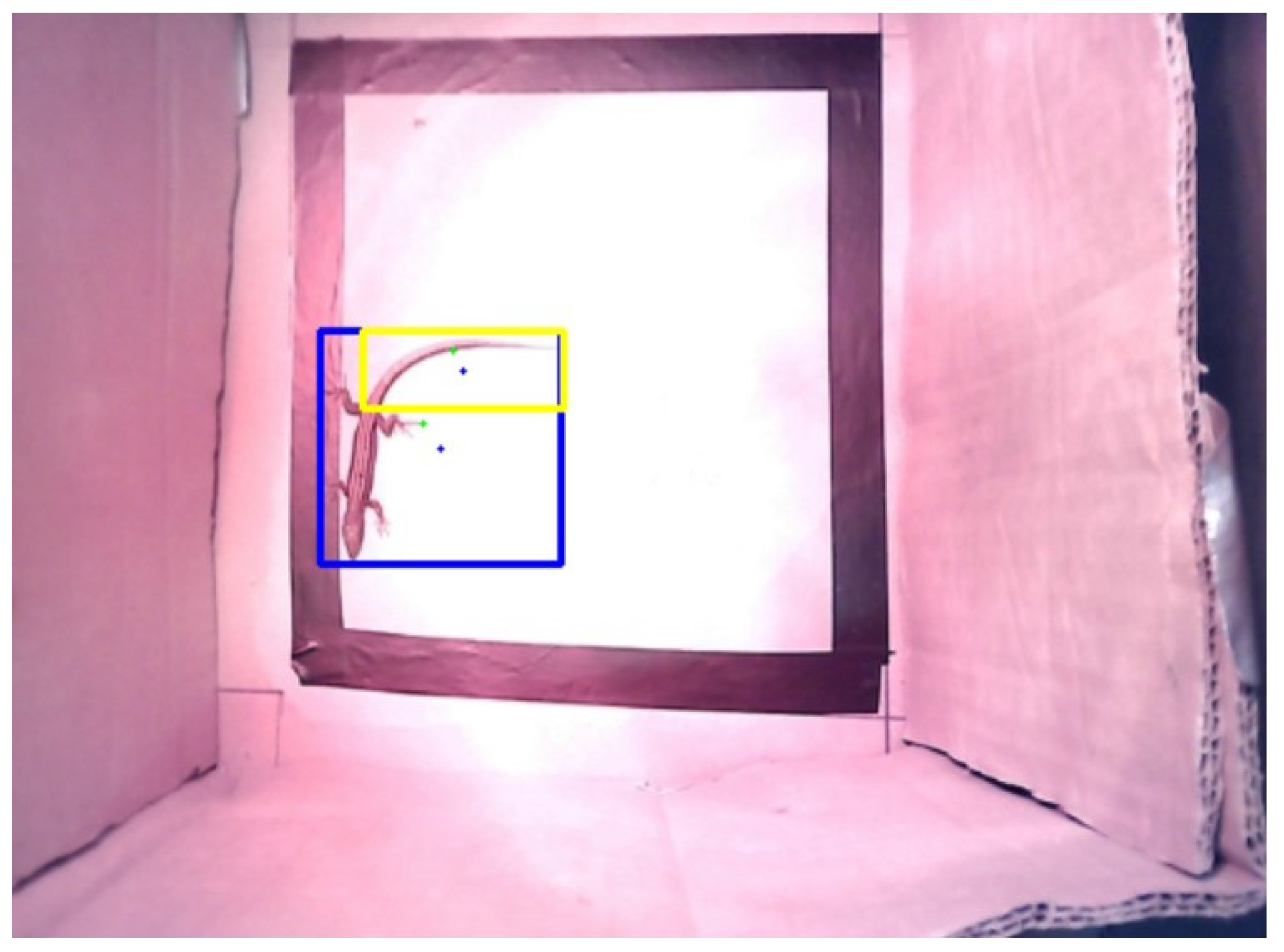 Sensors 24 04135 g012