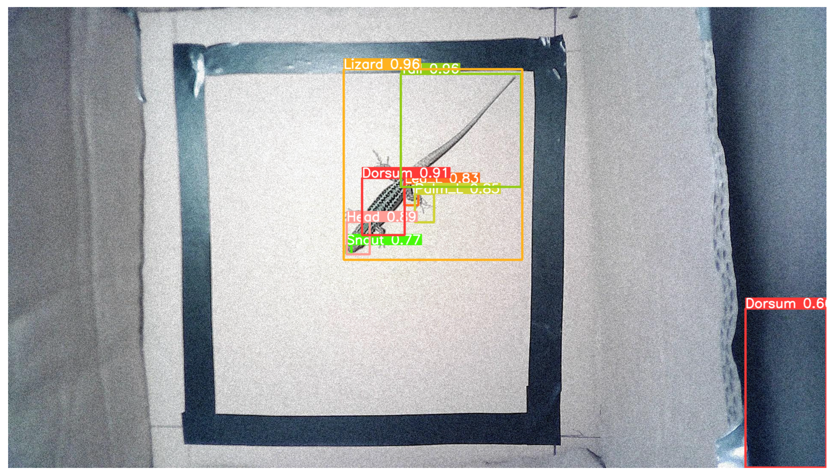 Sensors 24 04135 g020