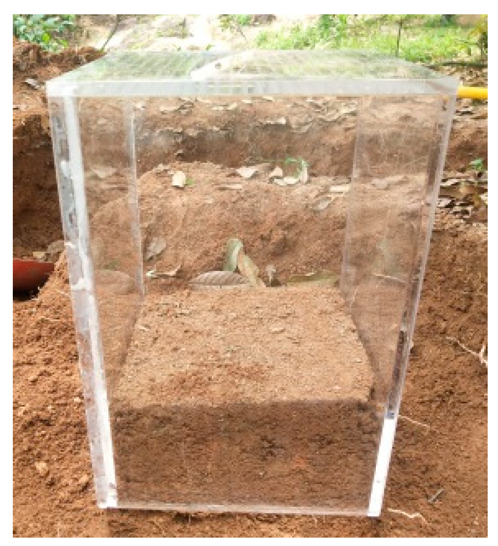 Sensors 24 04156 g001