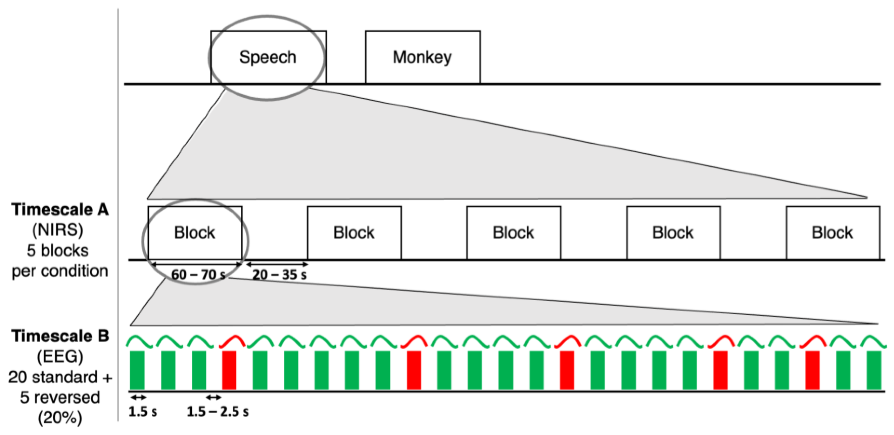 Sensors 24 04161 g001