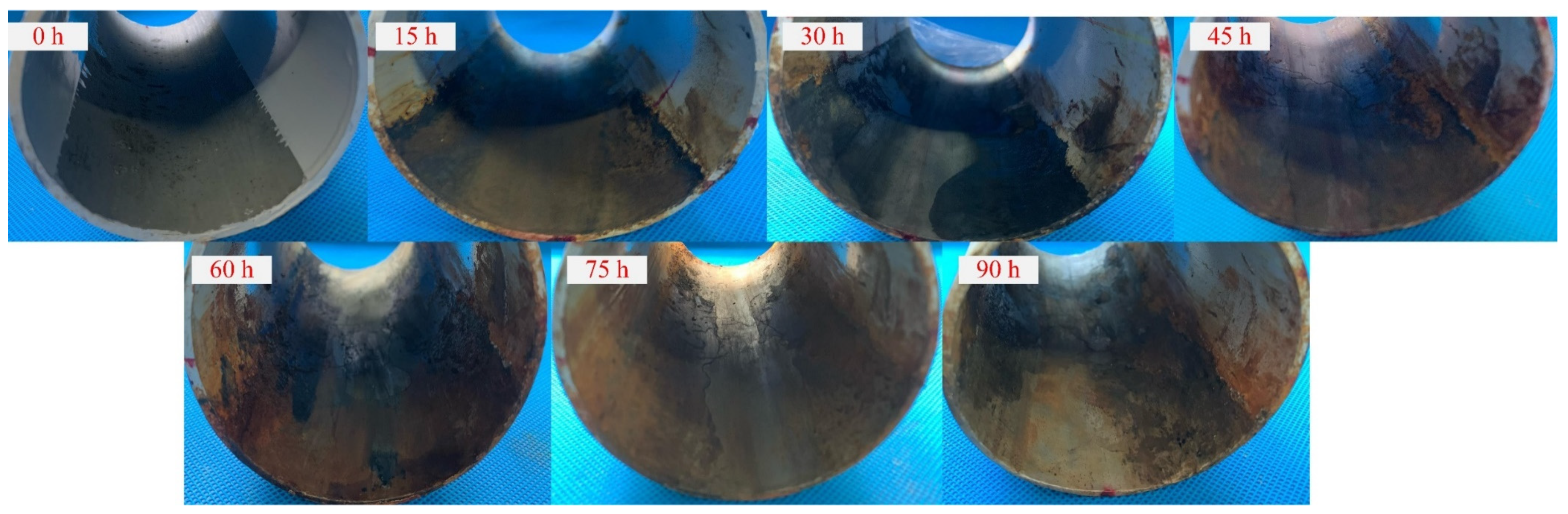 Sensors 24 04192 g006