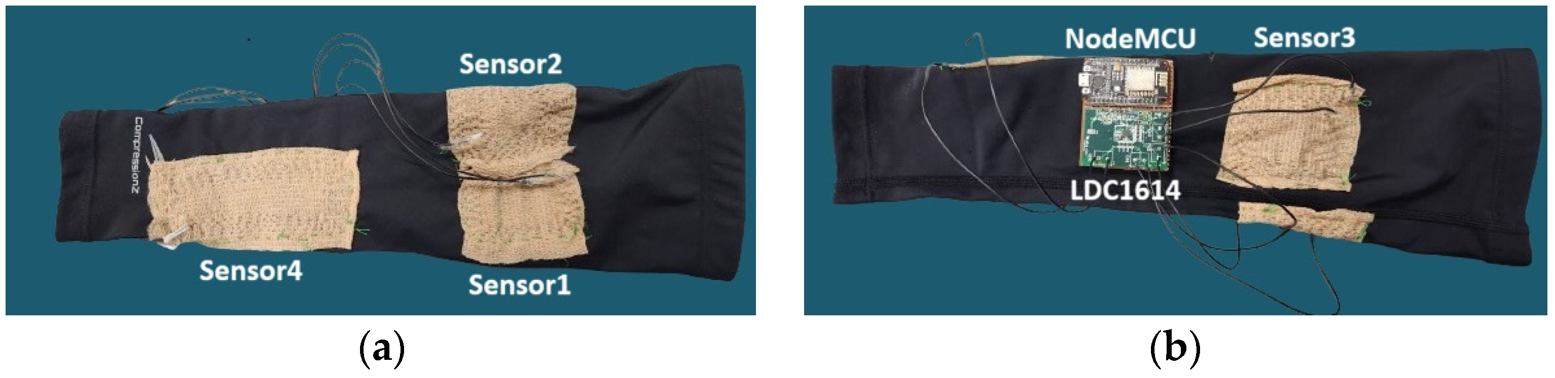 Sensors 24 04202 g001