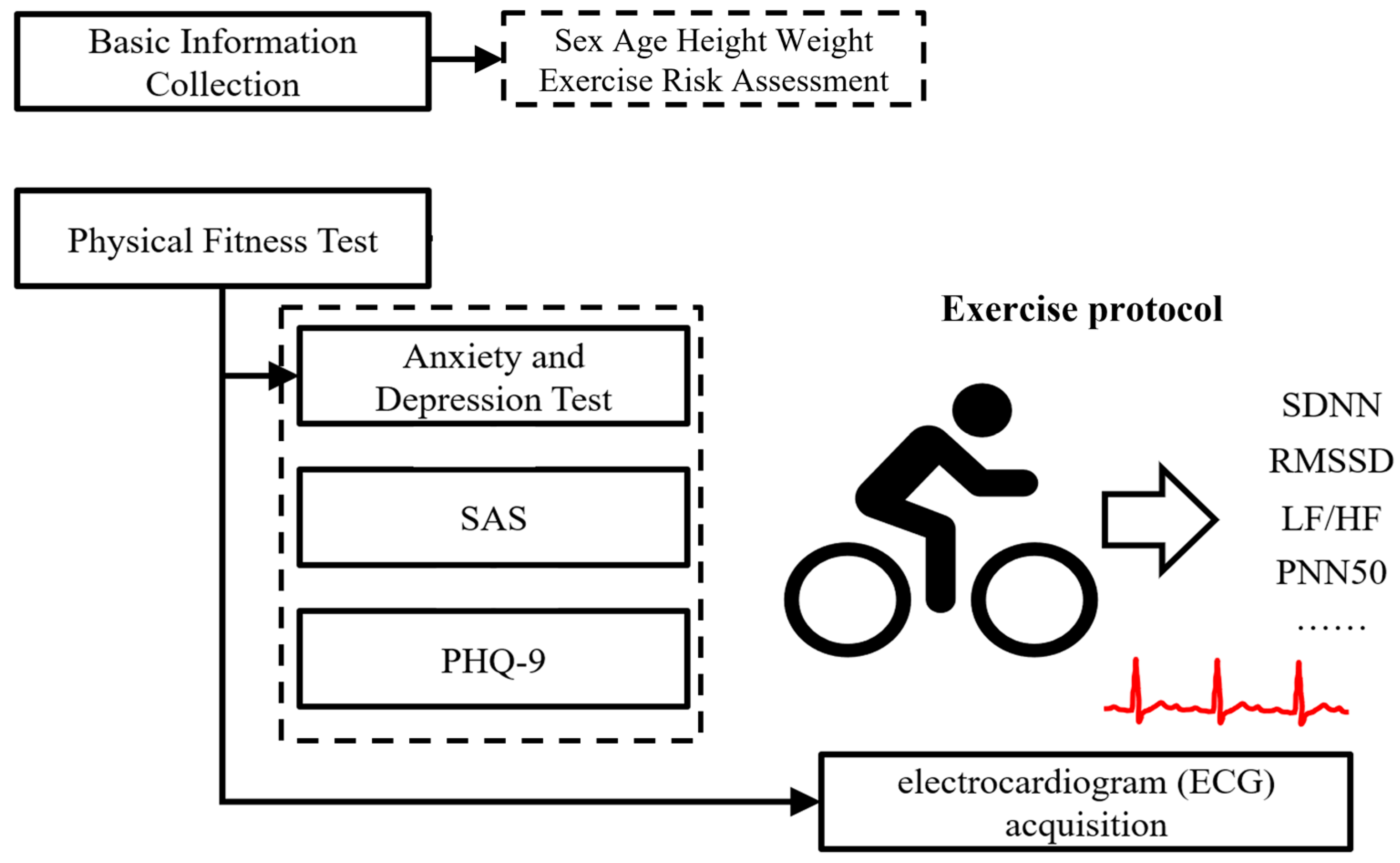 Sensors 24 04203 g001