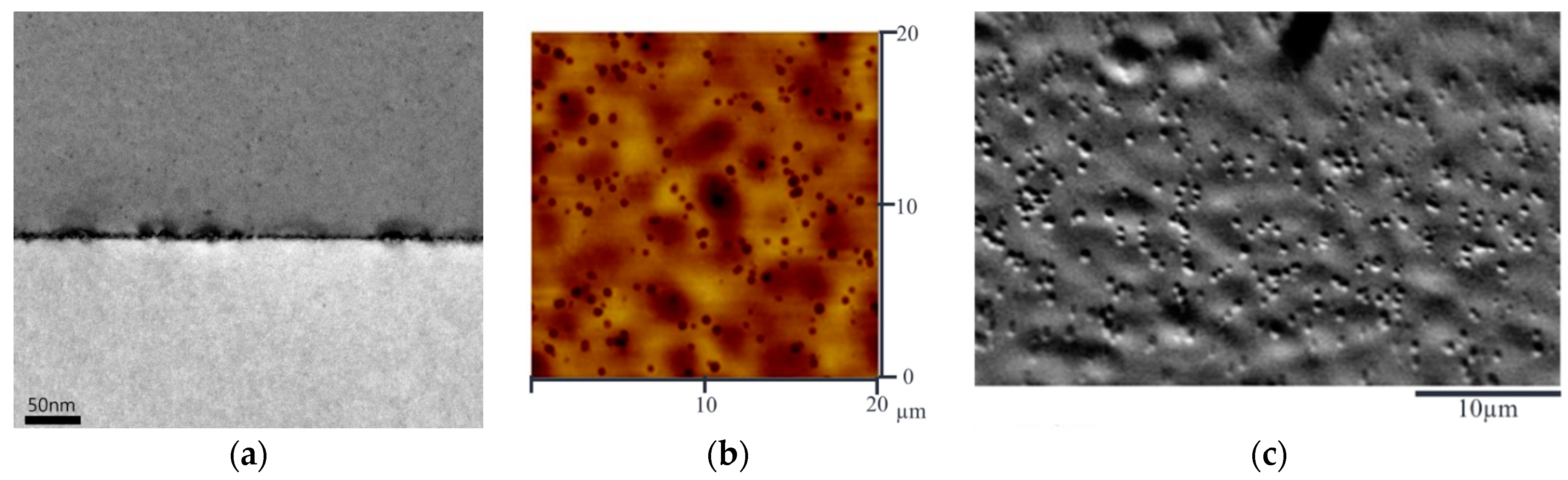 Sensors 24 04221 g007