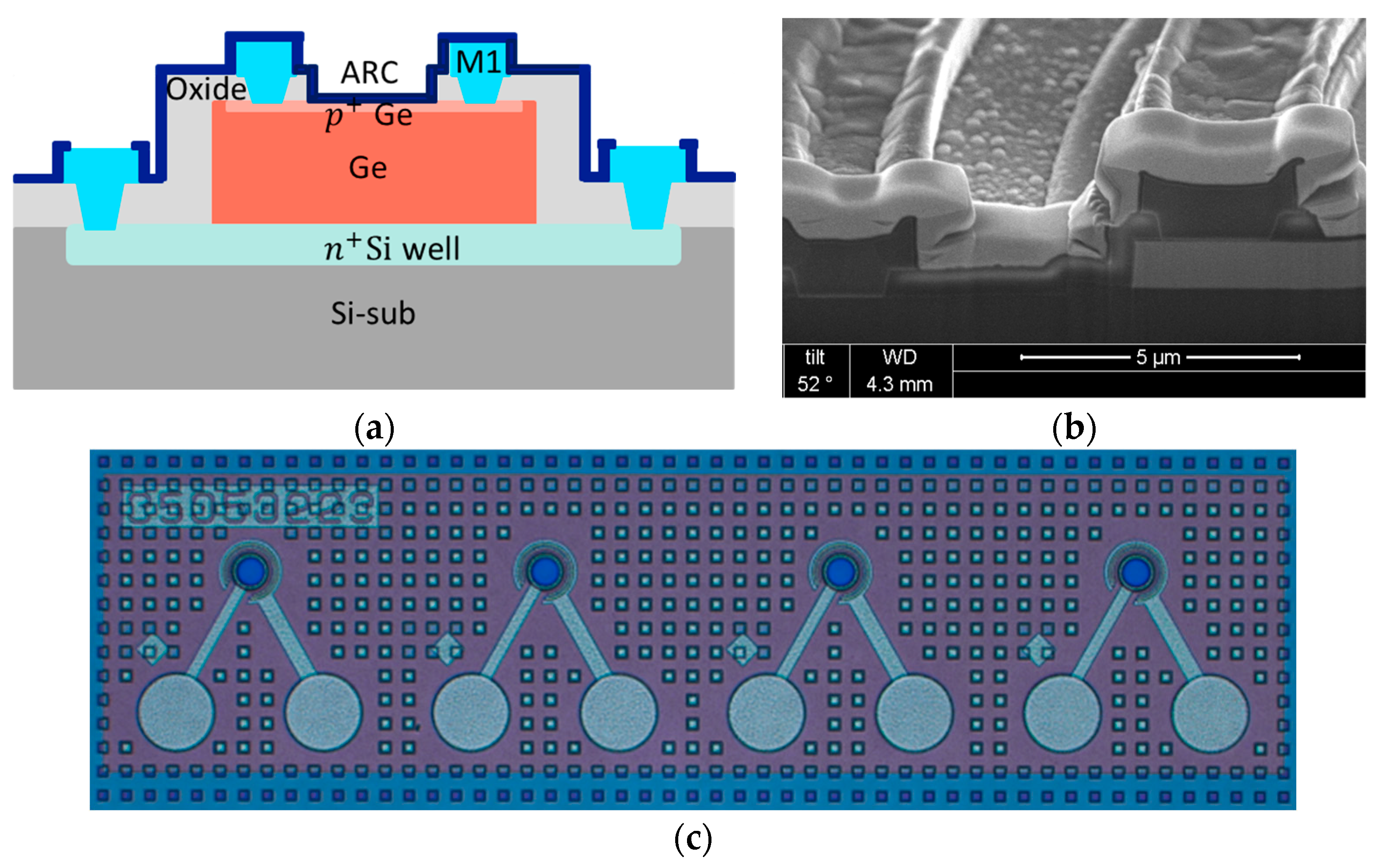 Sensors 24 04221 g008