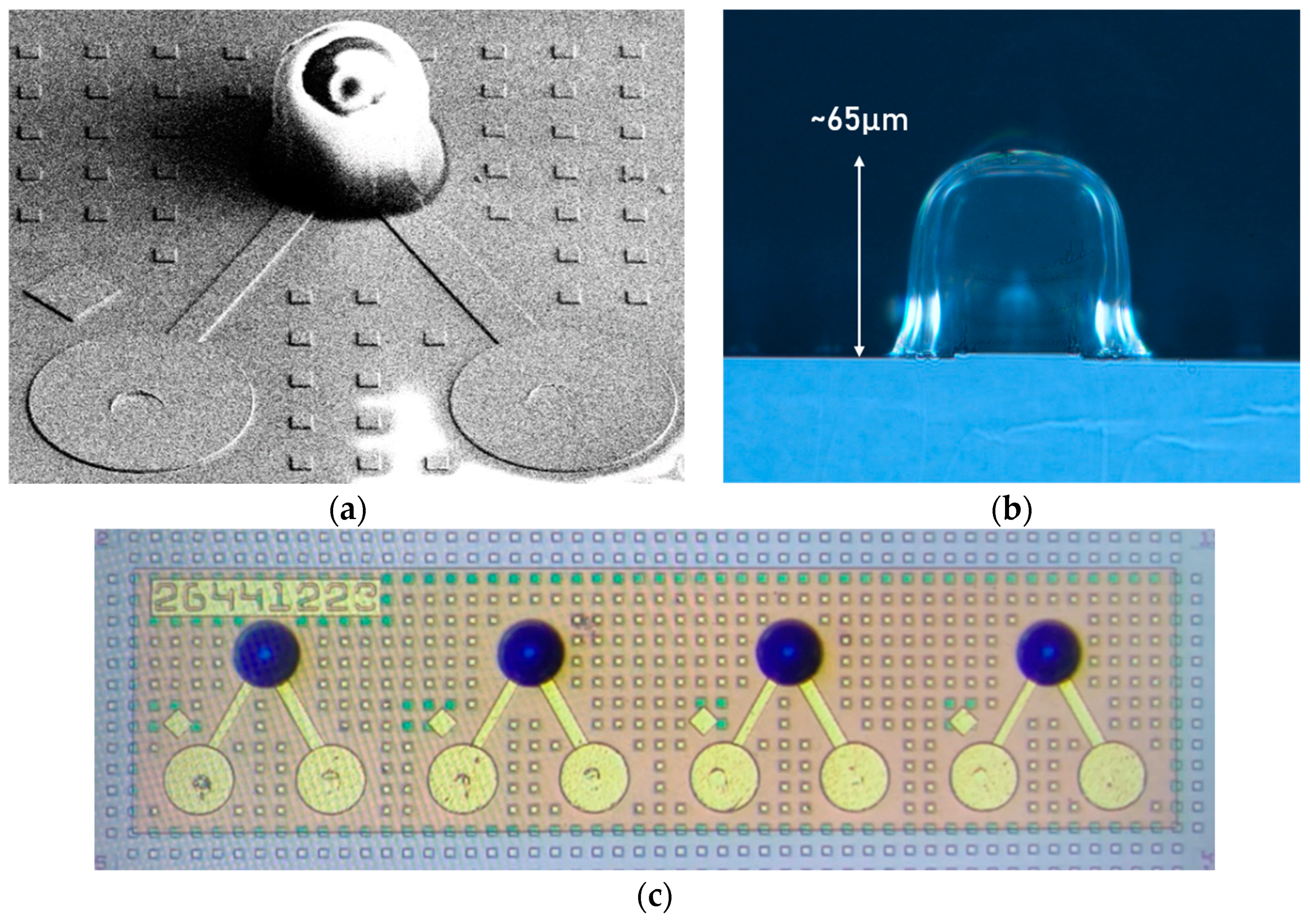 Sensors 24 04221 g009