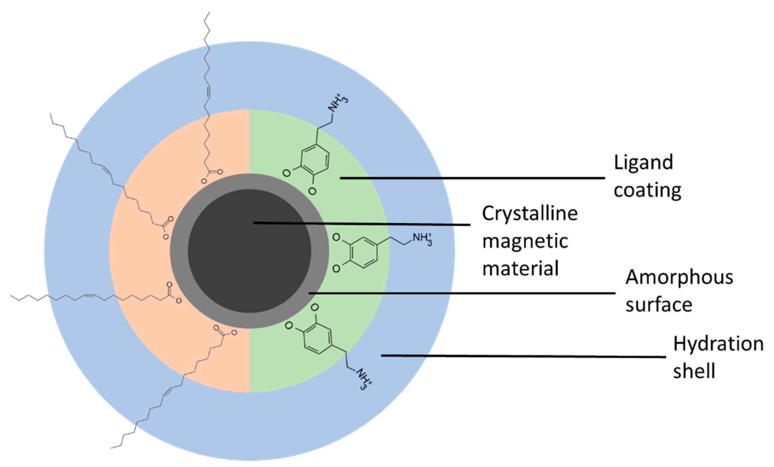 Sensors 24 04223 g001