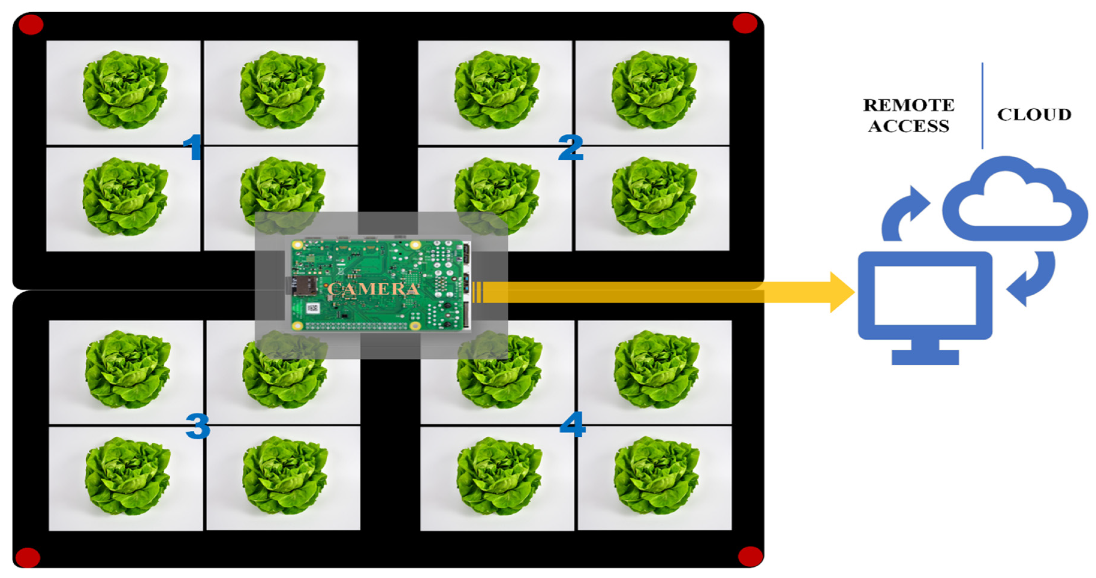 Sensors 24 04225 g001