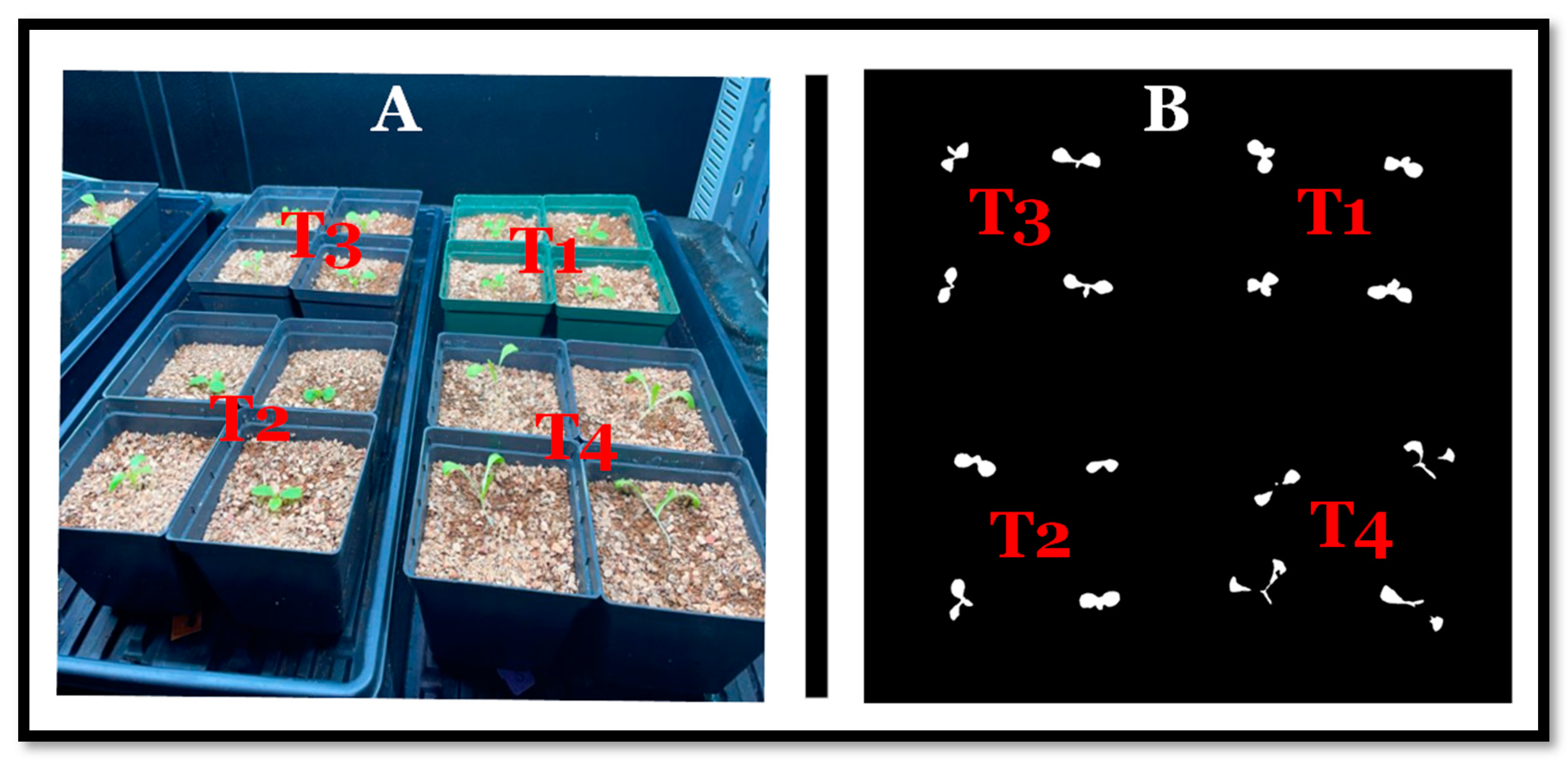 Sensors 24 04228 g003