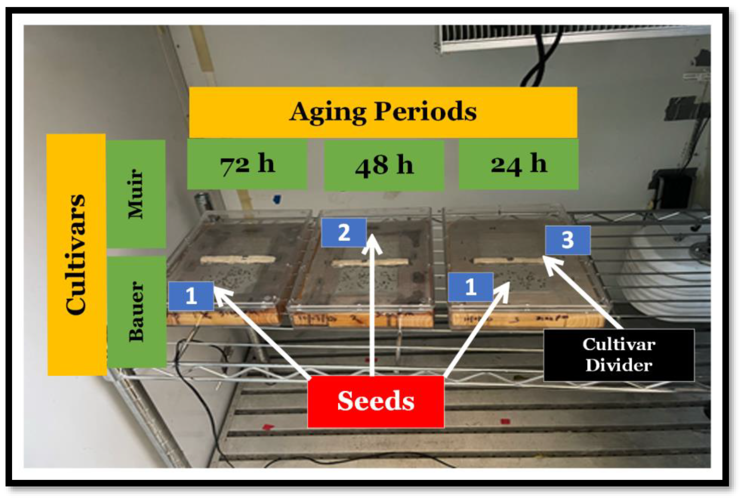 Sensors 24 04235 g001 Sensors 24 04235 g001